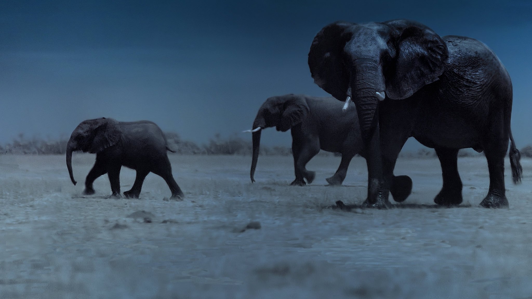 Night on Earth Background