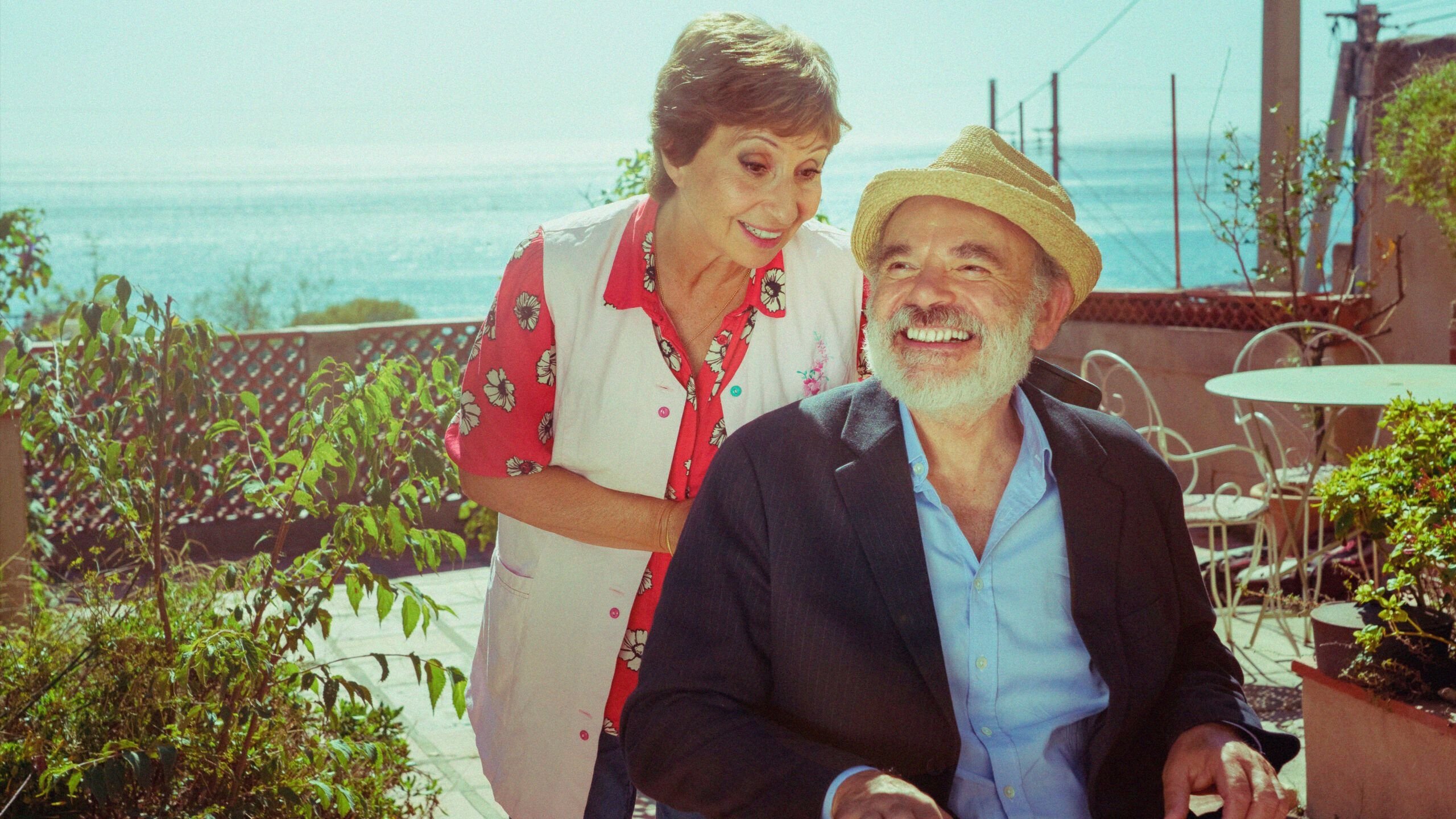 The Thieving Magpie Background