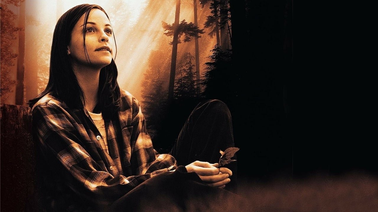 The Spitfire Grill Background