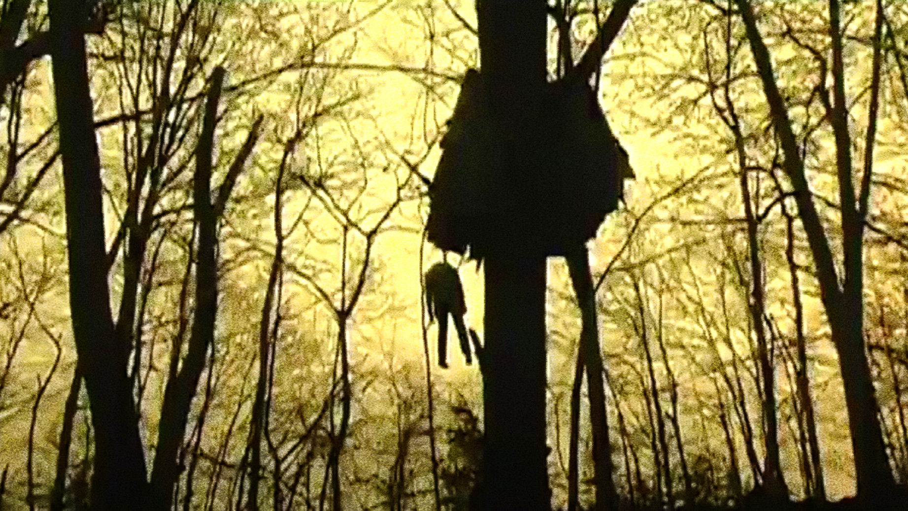 Head Trauma Background