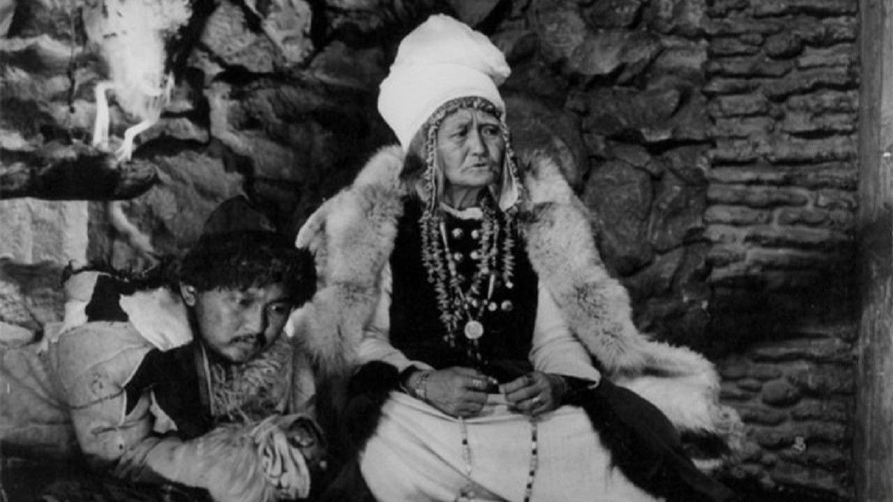 The Descendant of the Snow Leopard Background