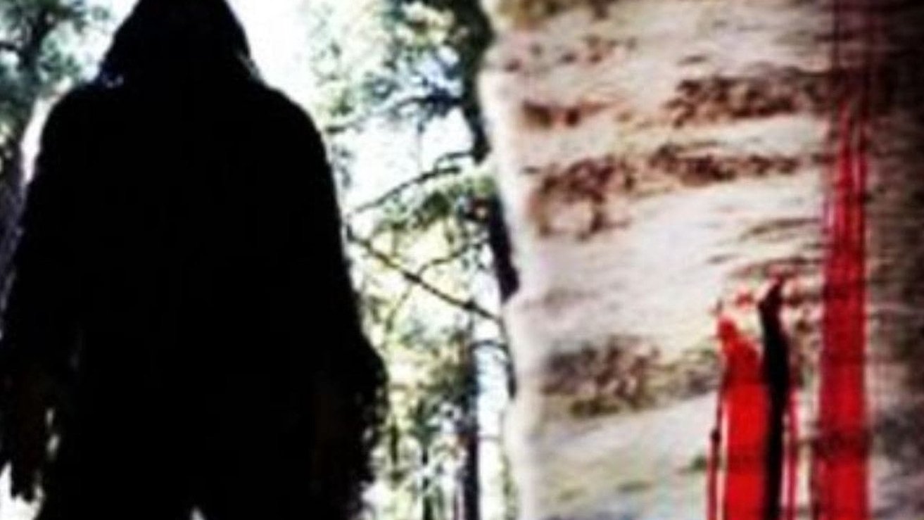 Sasquatch Mountain Background