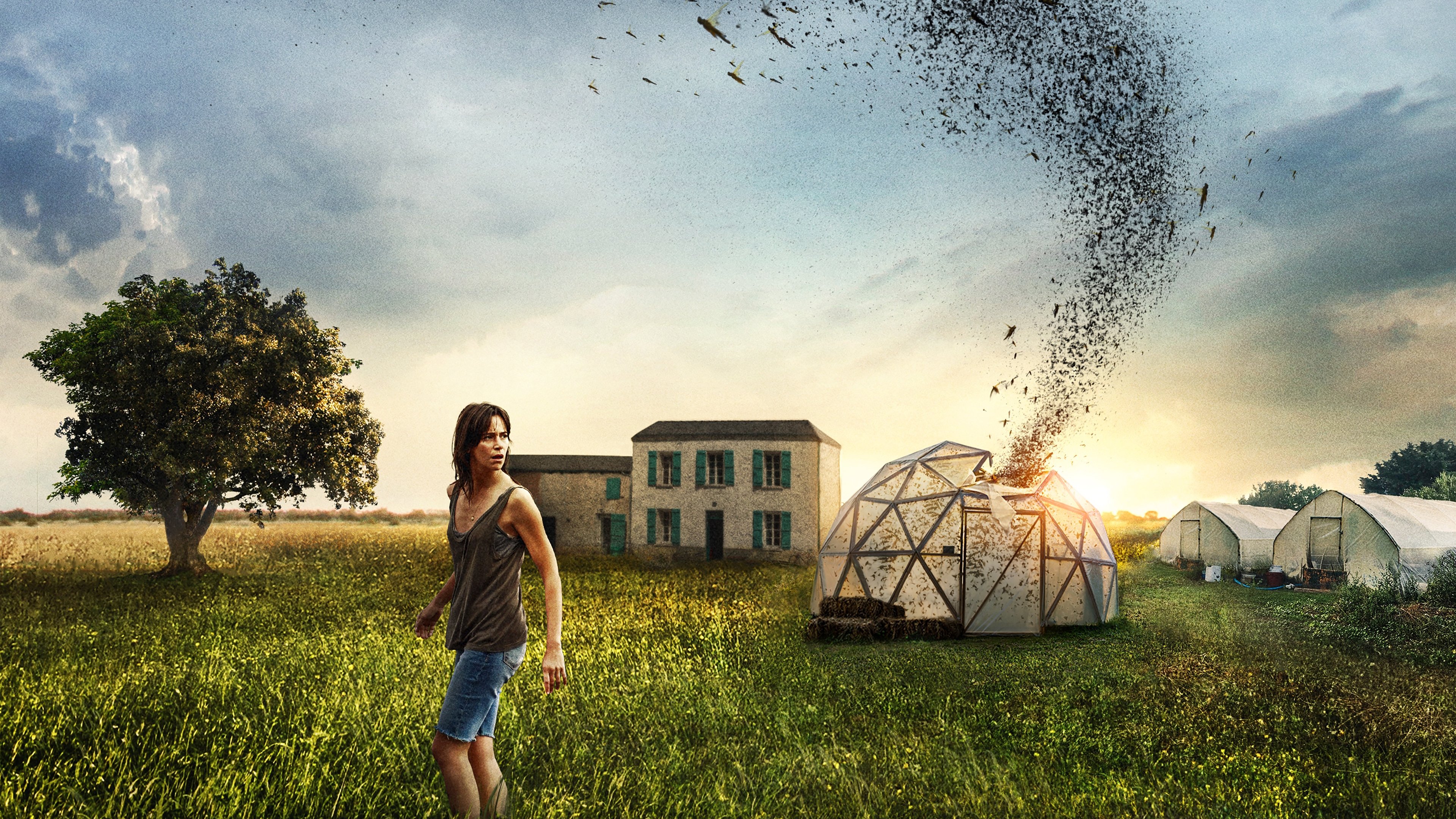 The Swarm Background