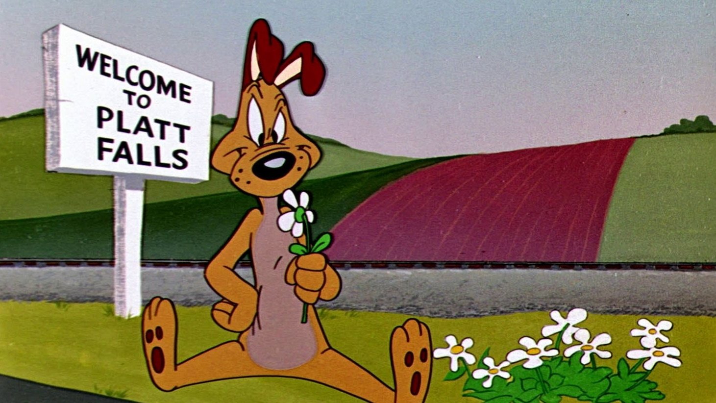 Dog Gone South Background