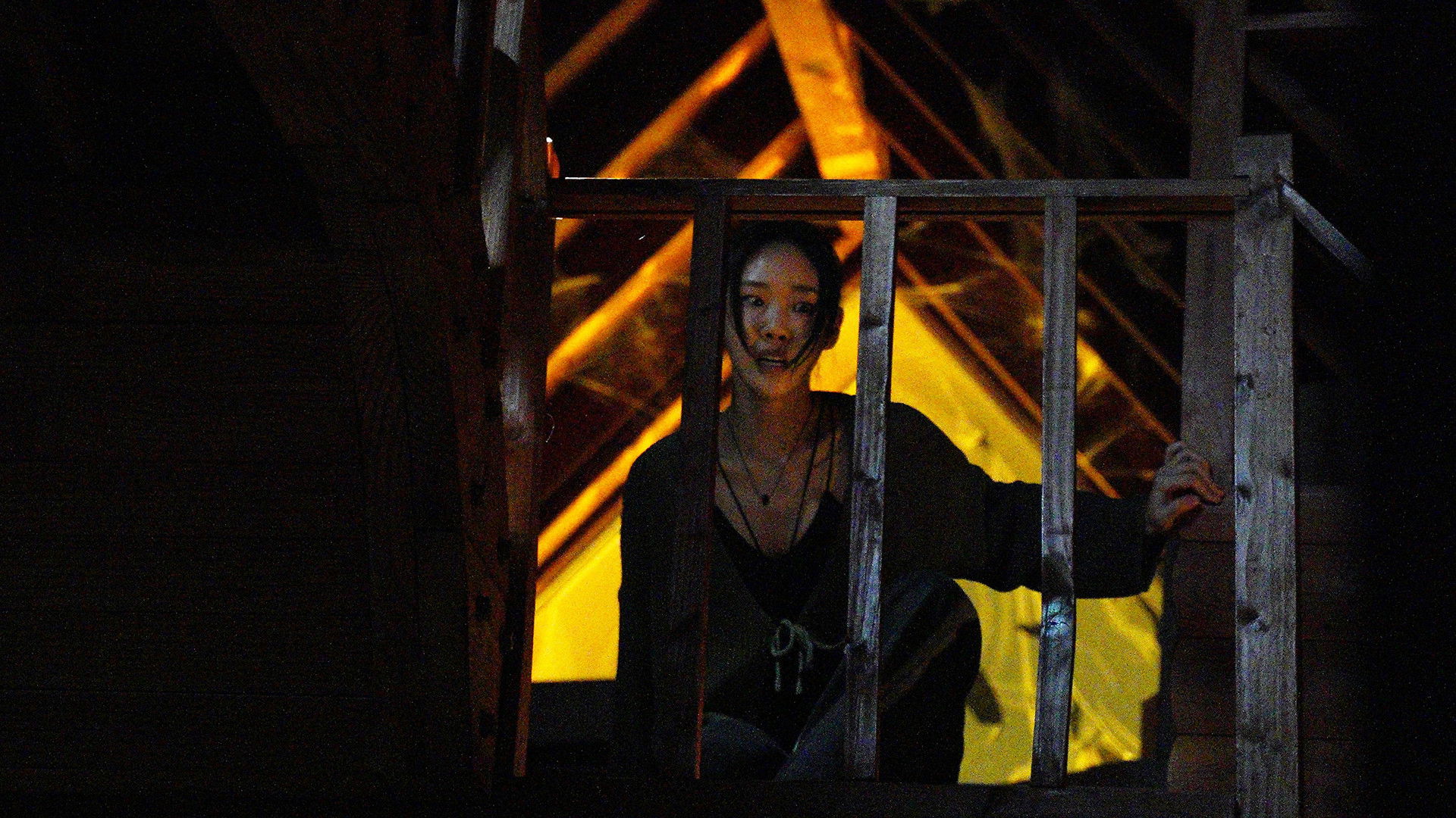 Horror Express Background