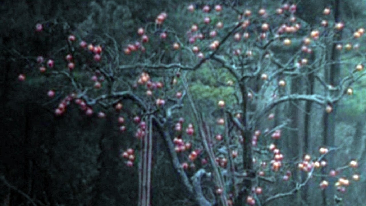 Elegy of a Voyage Background