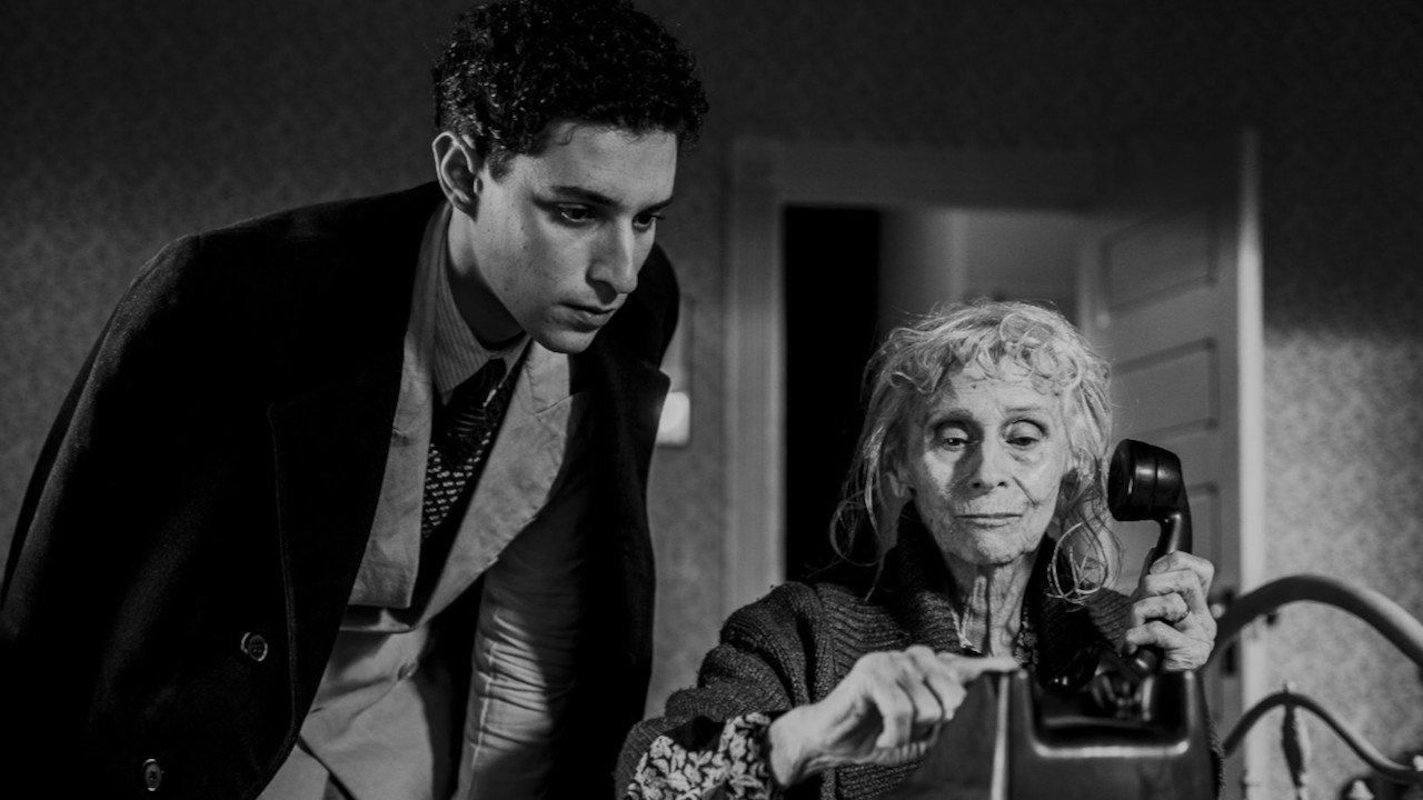 The American Backyard Background