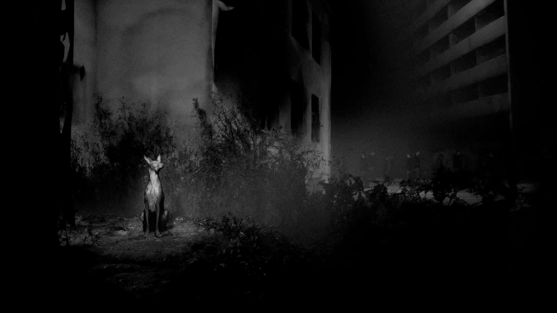 Songs for a Passerby Background