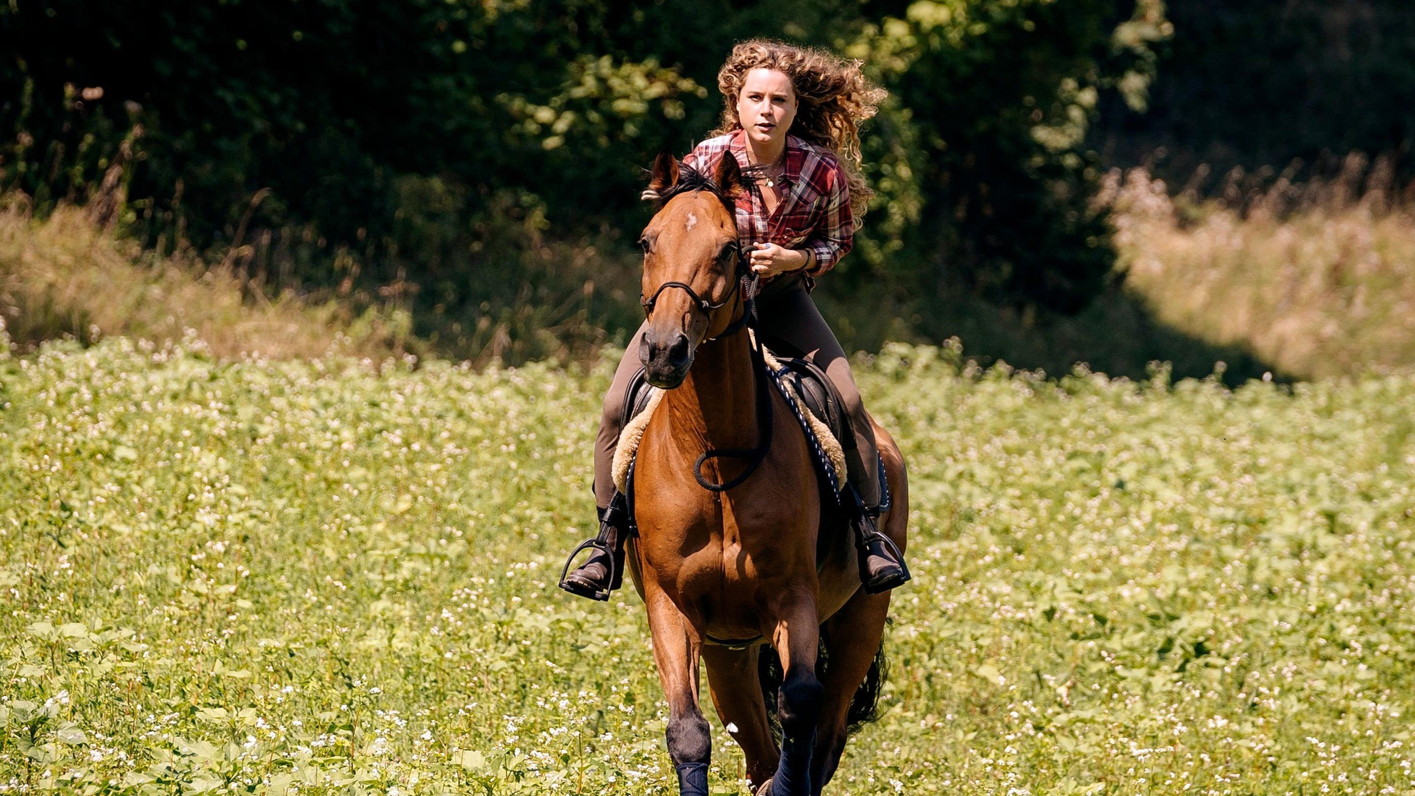 Reiterhof Wildenstein Background