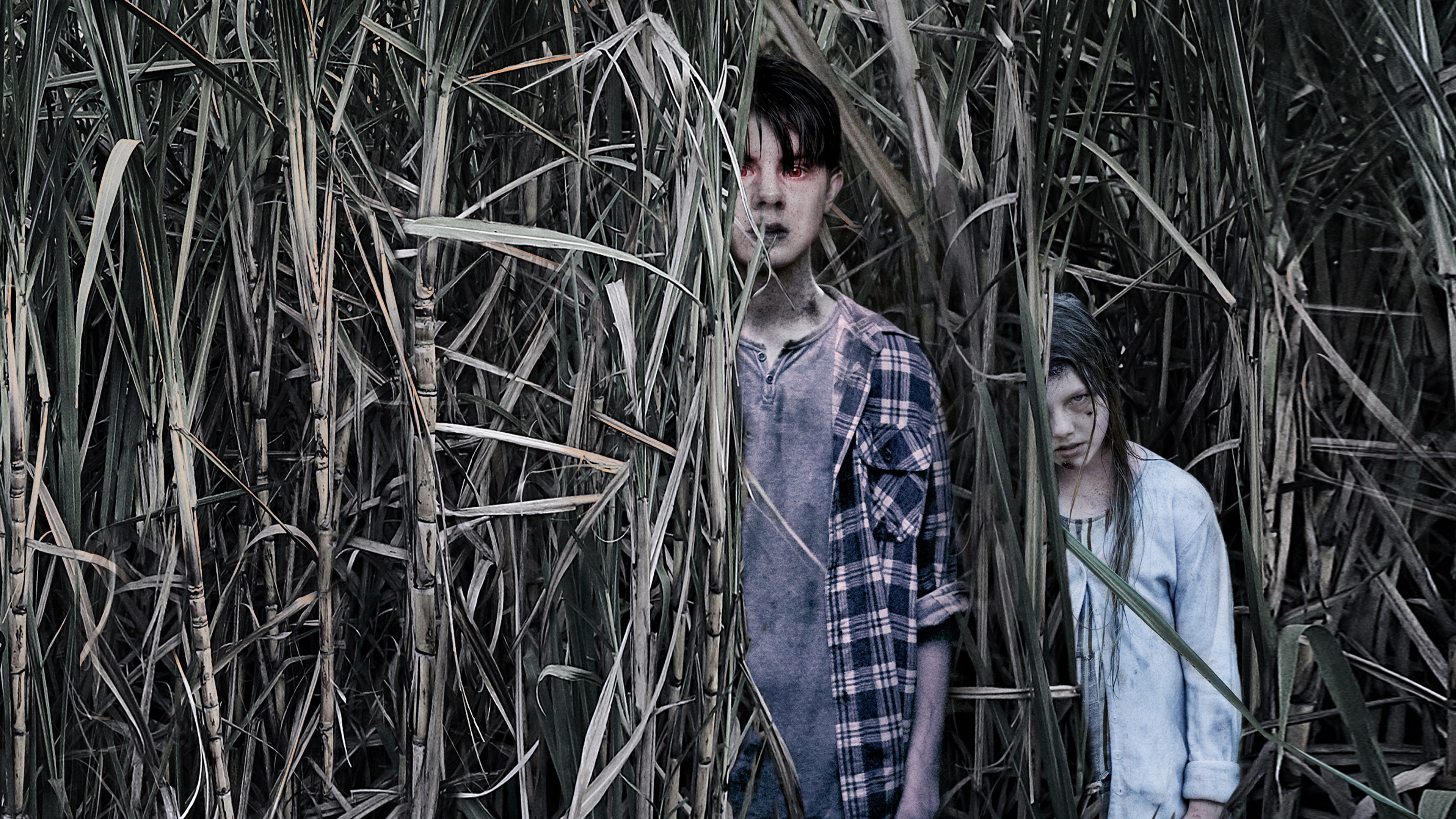 Sweet River Background