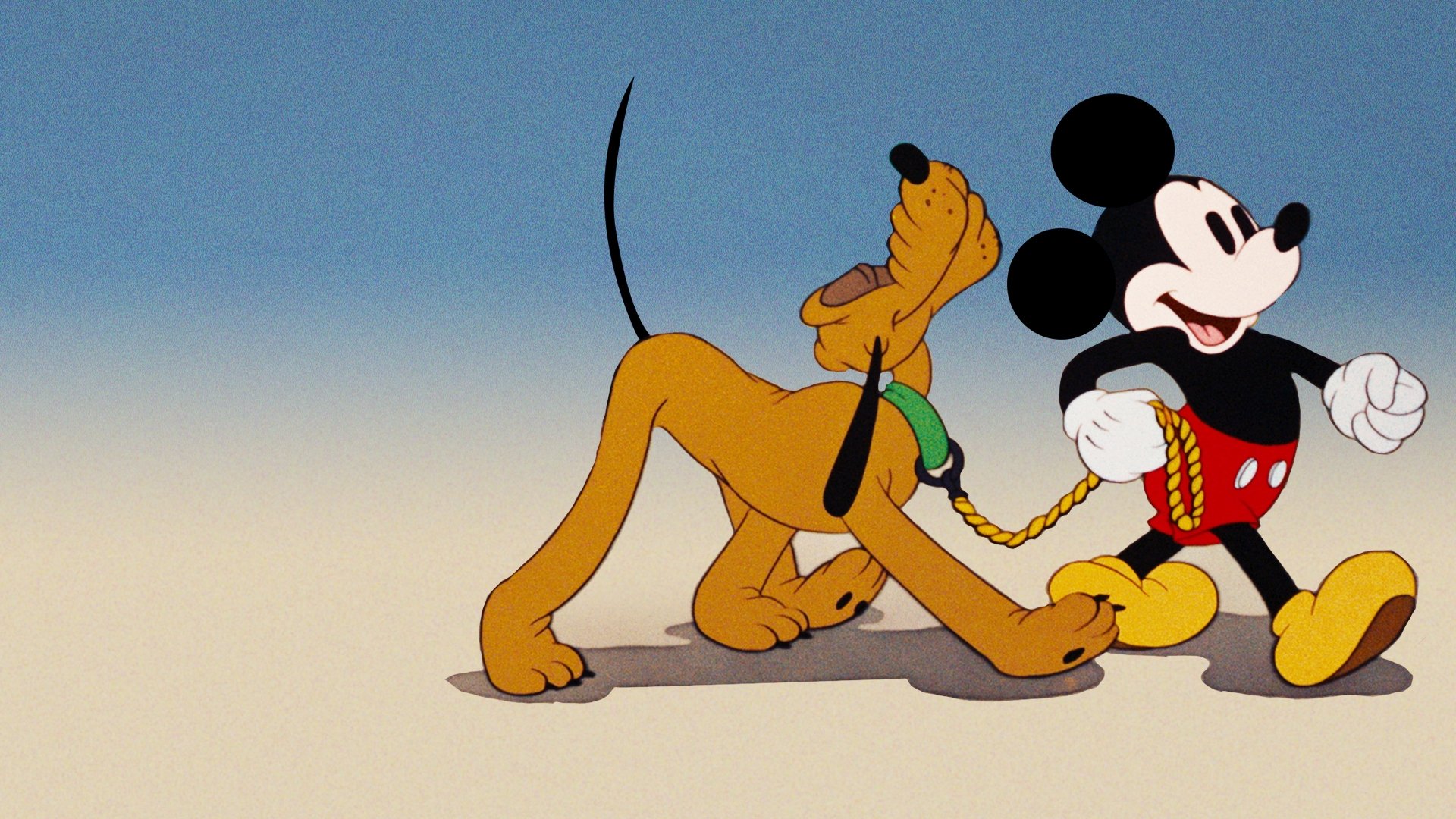 Society Dog Show Background