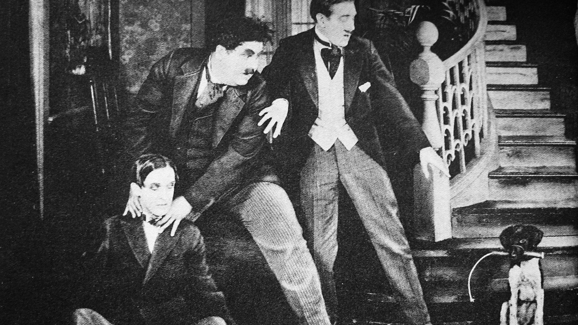 The Lucky Dog Background