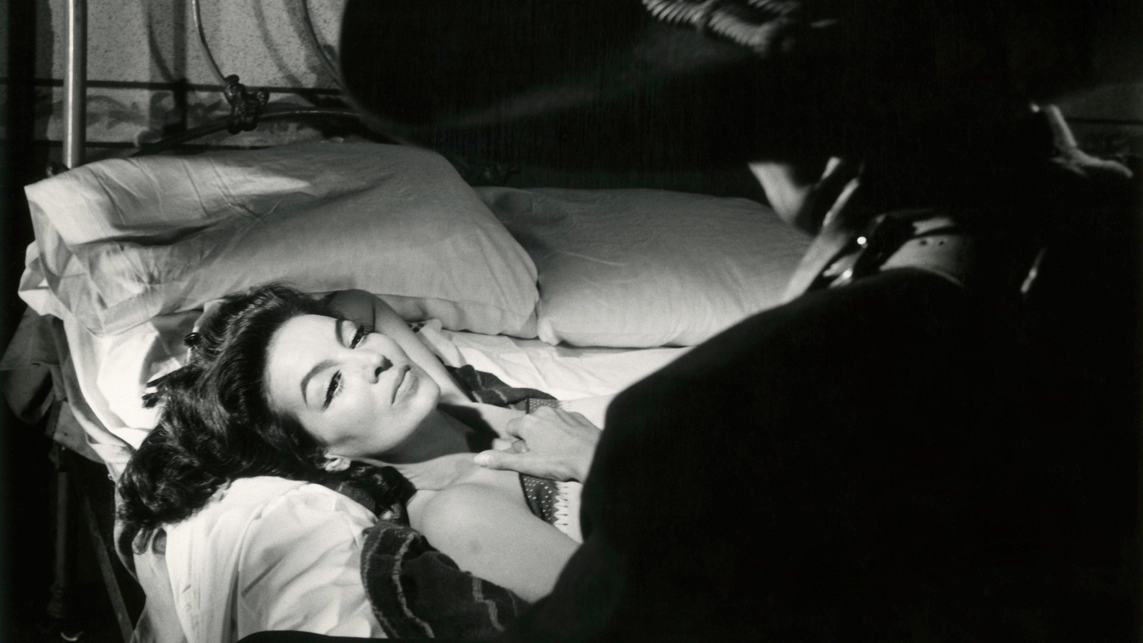 La Cucaracha Background