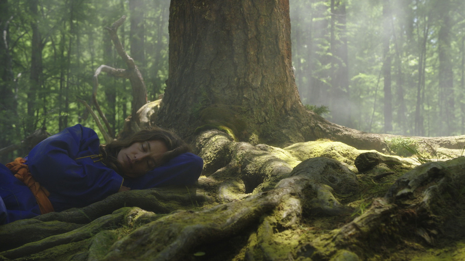 A Bigger World Background