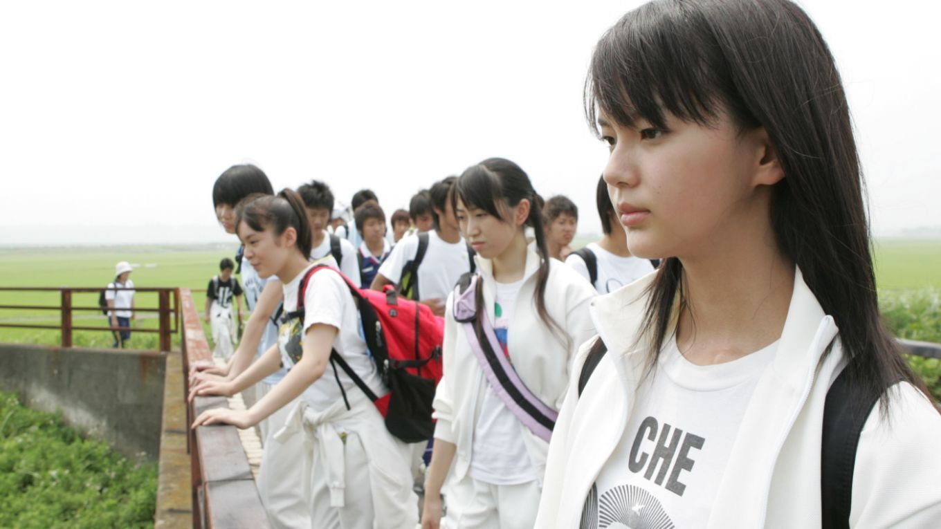 Night Time Picnic Background