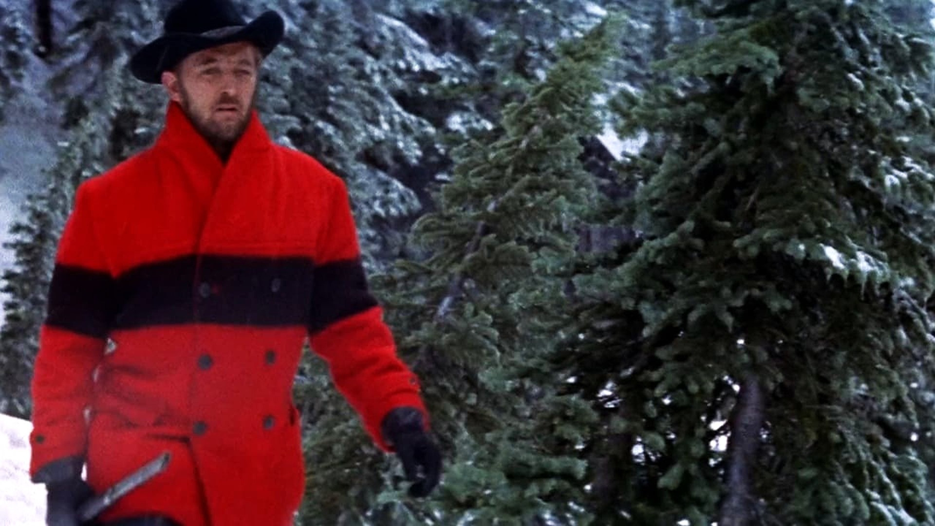 Track of the Cat Background