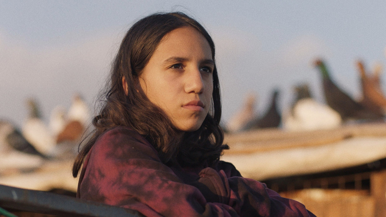 Palestine Islands Background