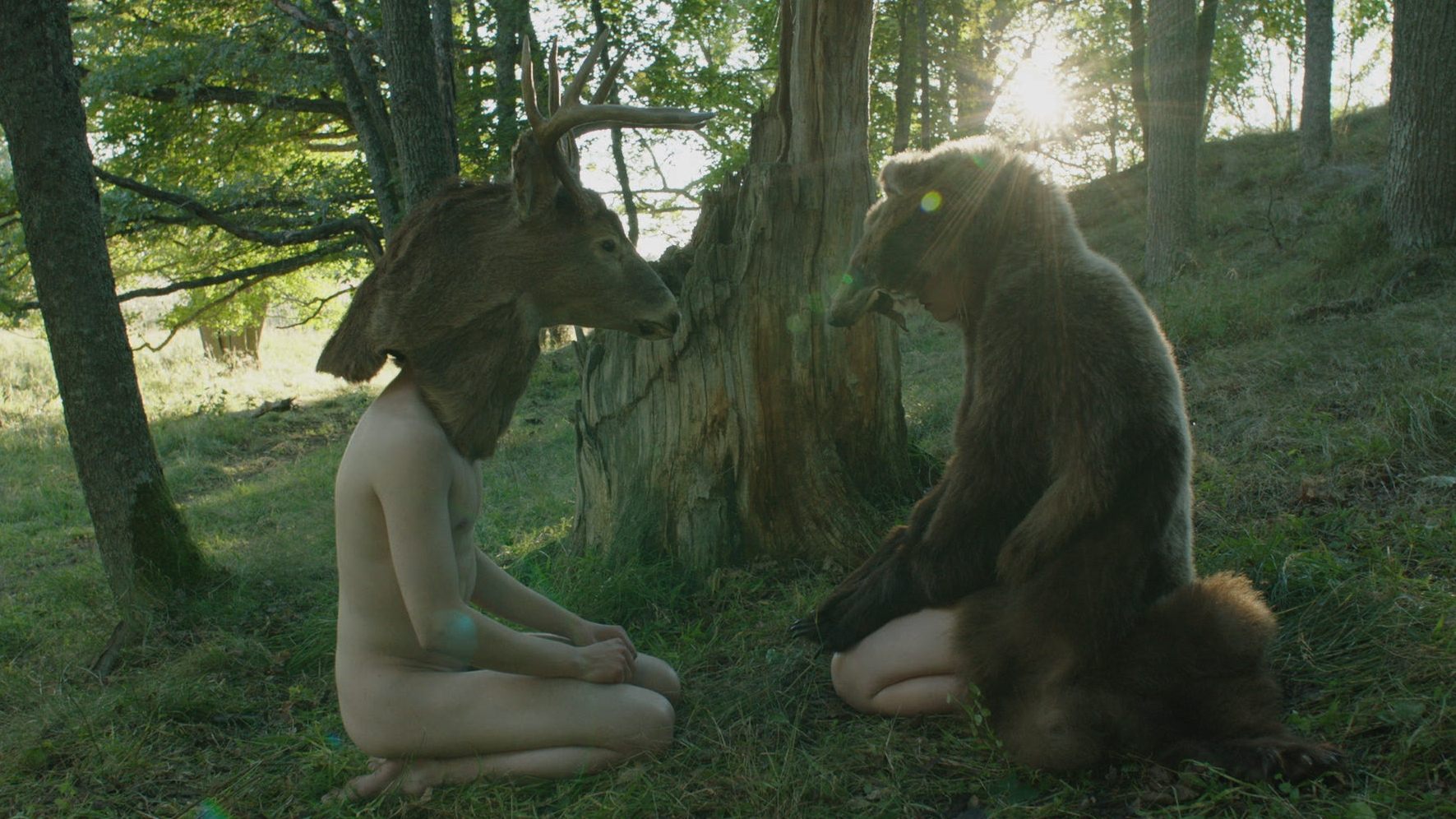 They Have Escaped Background