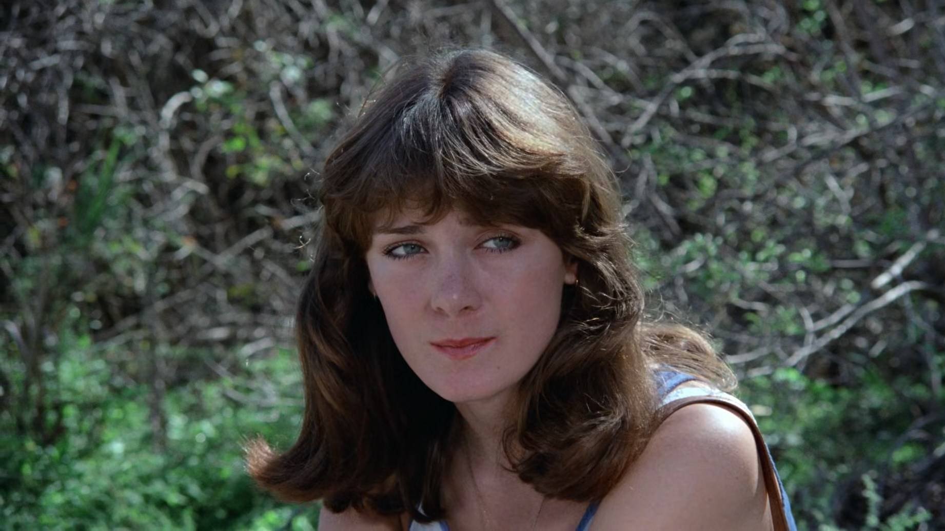 Killer's Delight Background