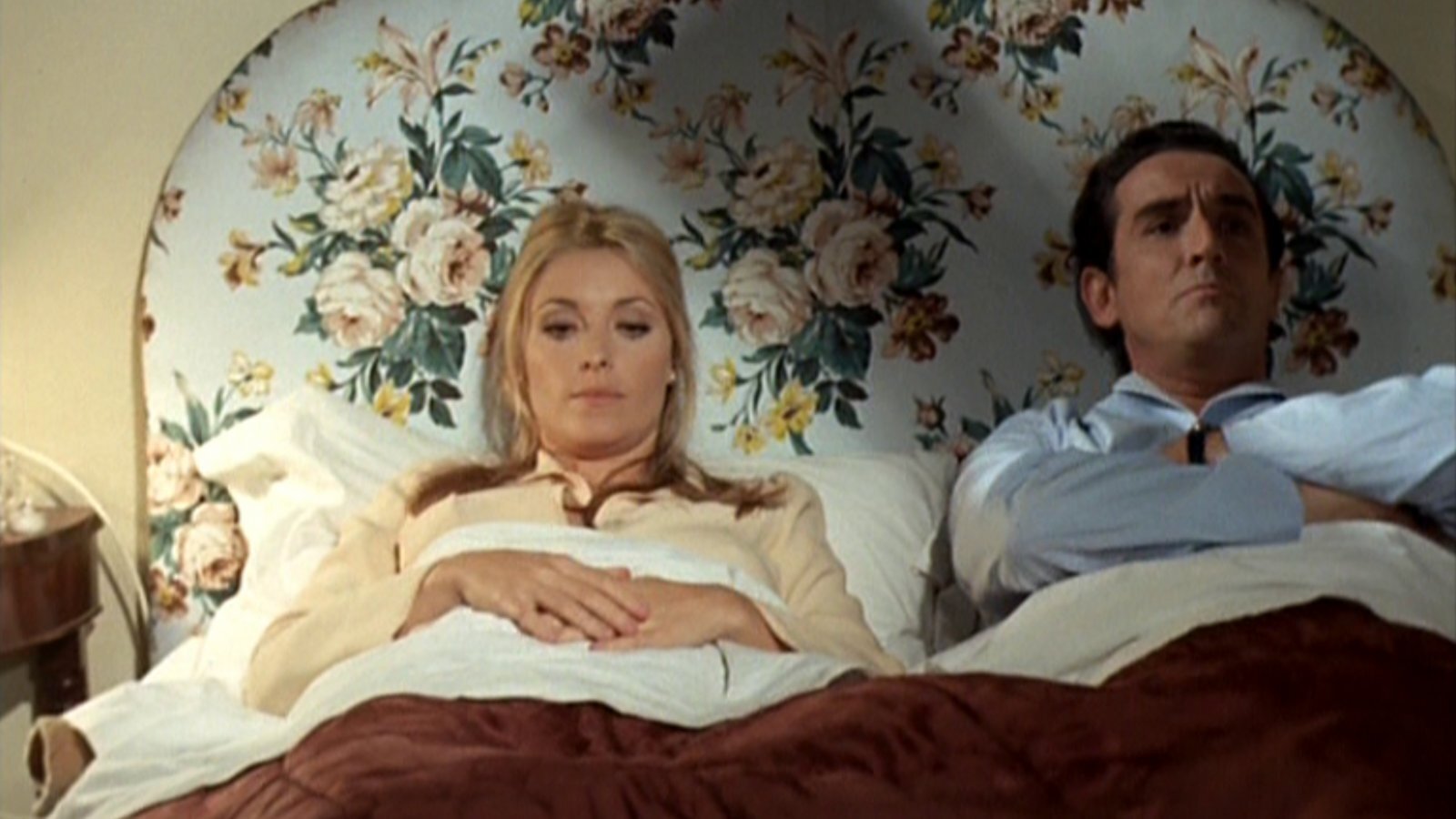 Twelve Plus One Background