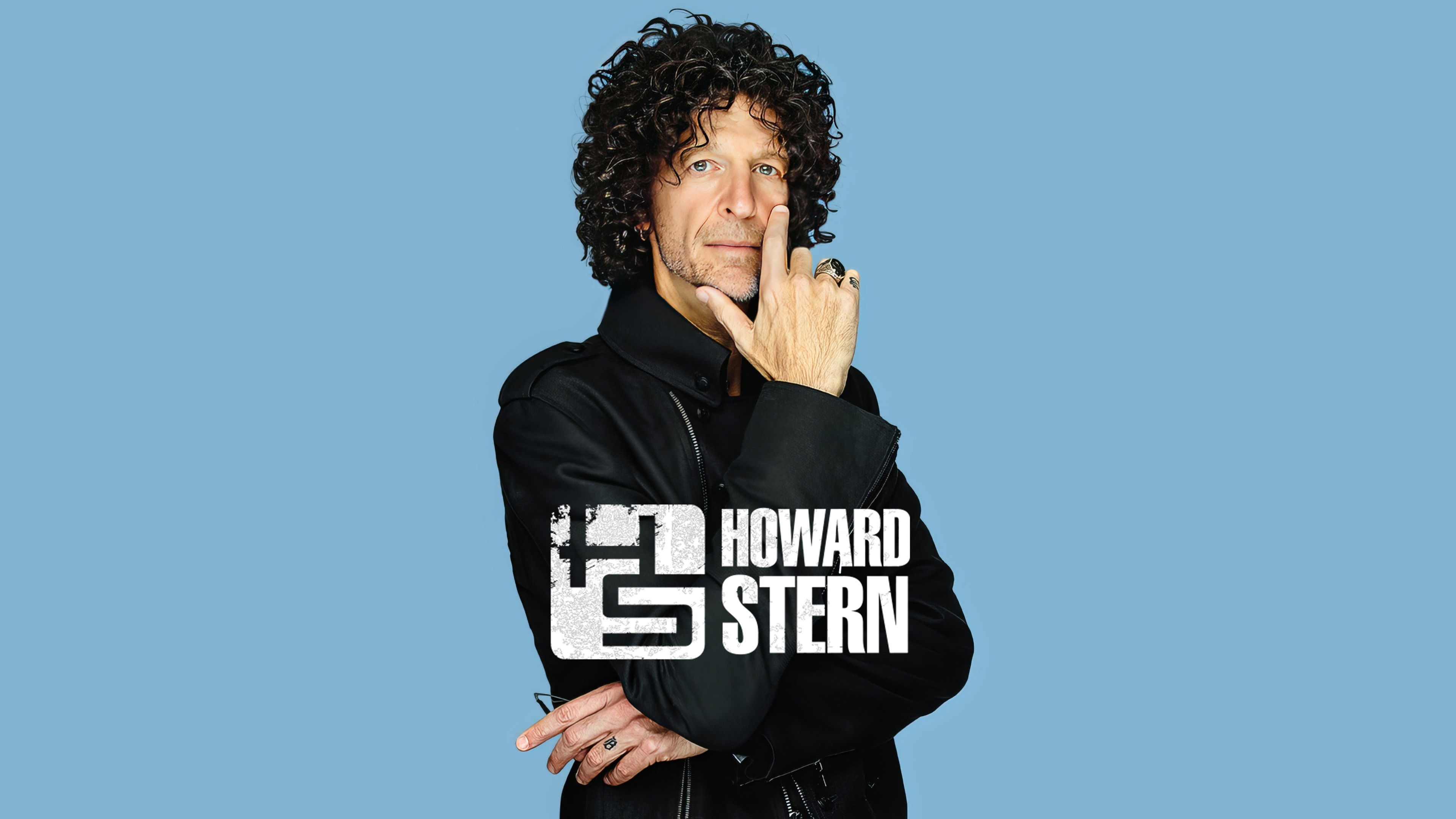 The Howard Stern Interview Background
