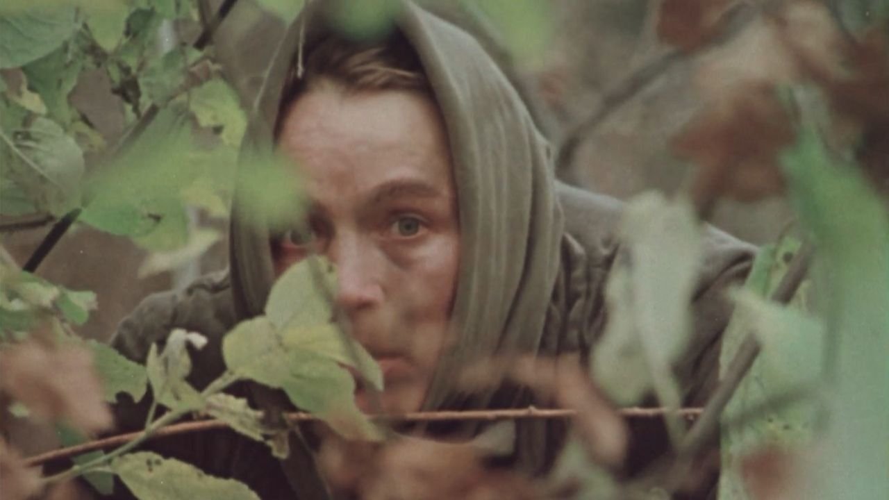 Sign of Disaster Background