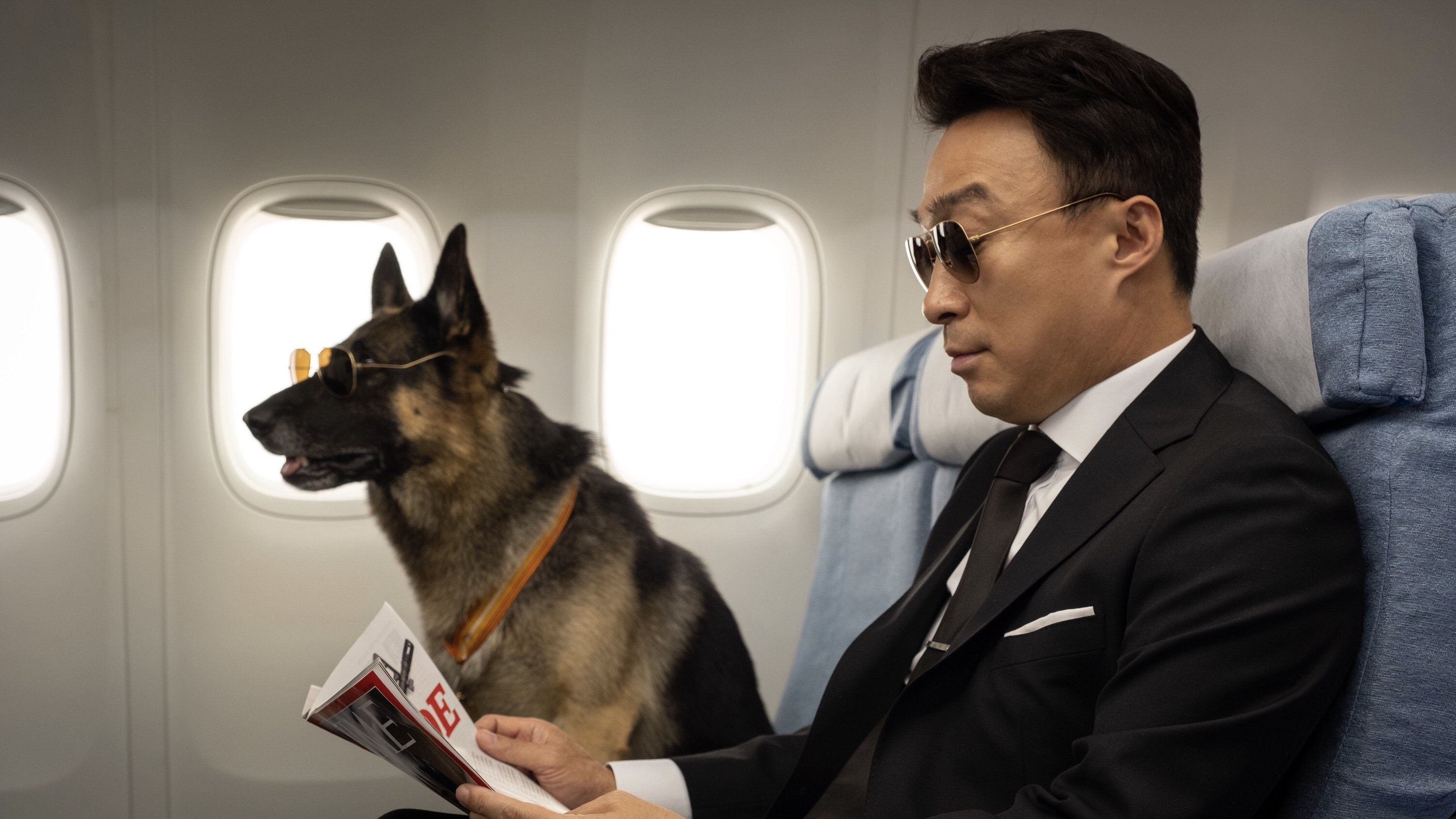 Mr. Zoo: The Missing VIP Background