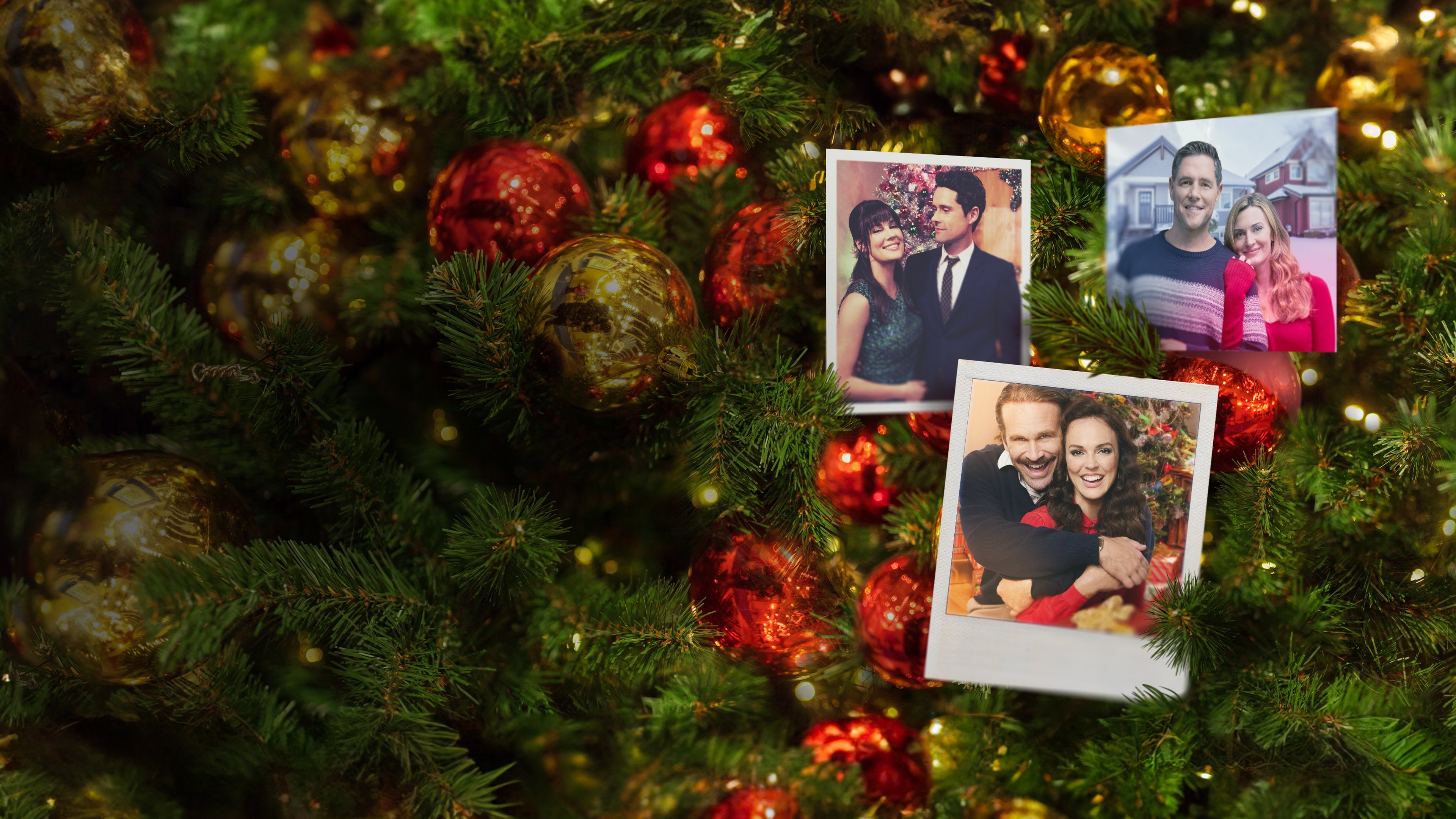 Deck the Halls on Cherry Lane Background