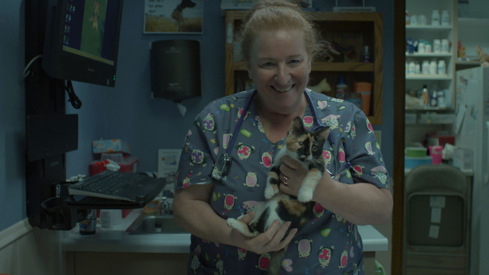 Keep It Quiet Background