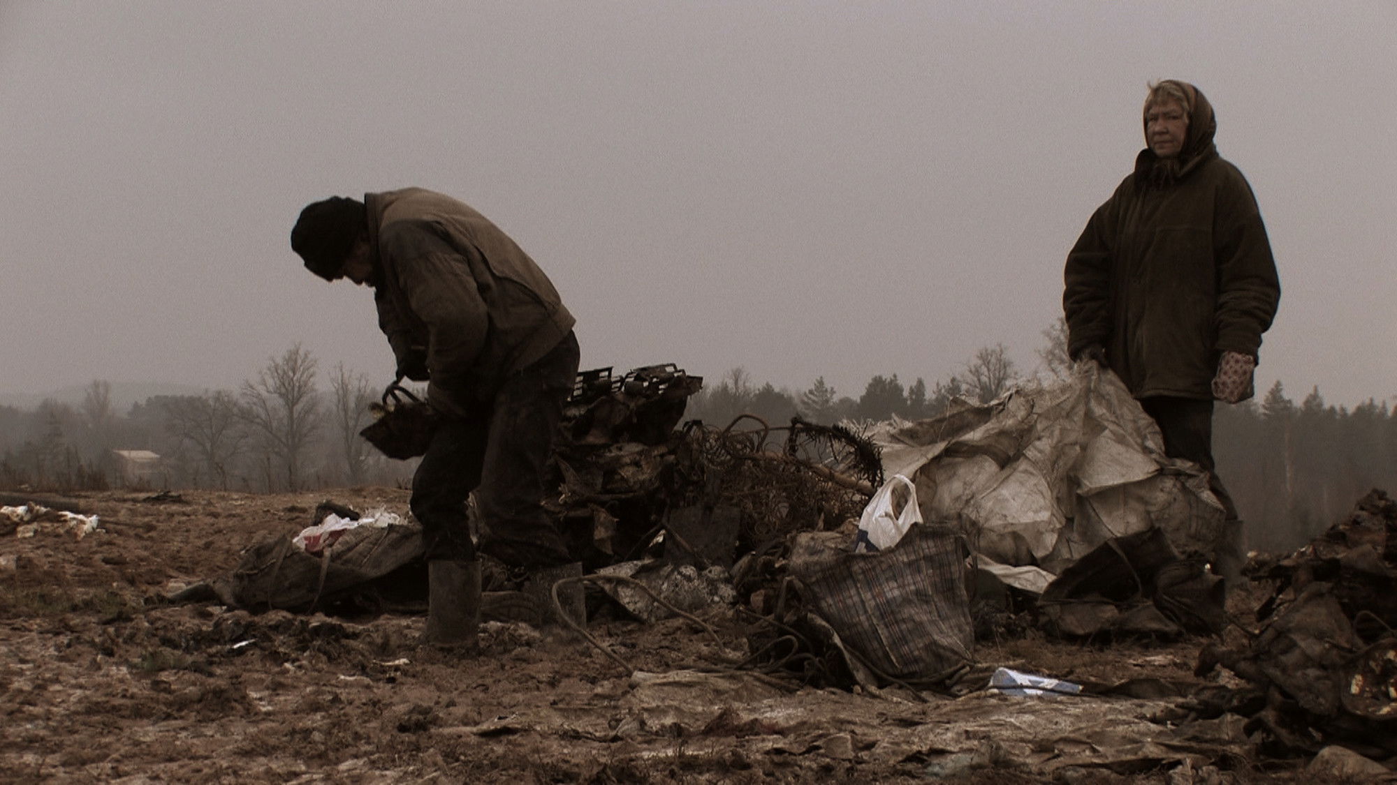 The Field of Magic Background