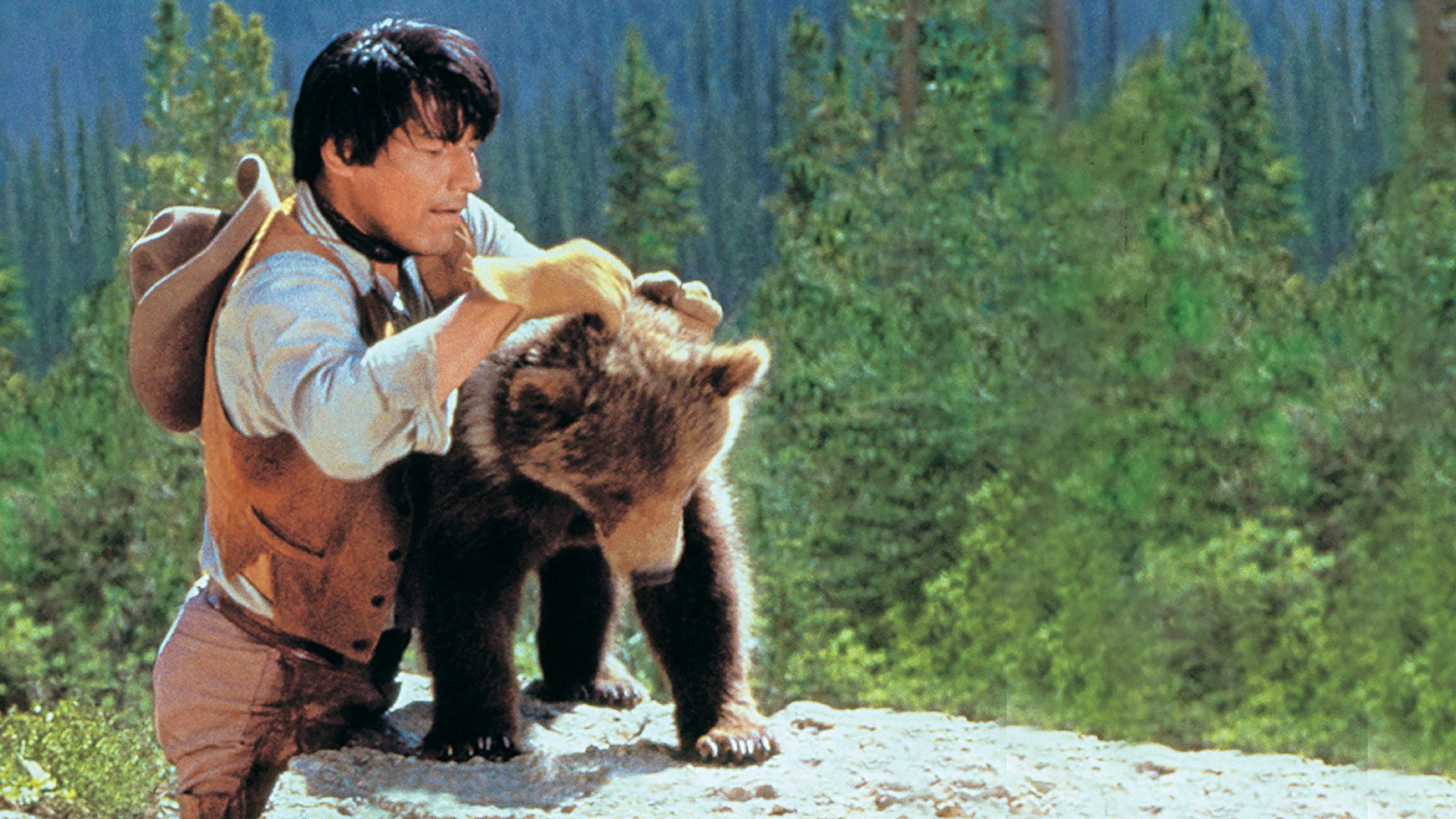 King of the Grizzlies Background