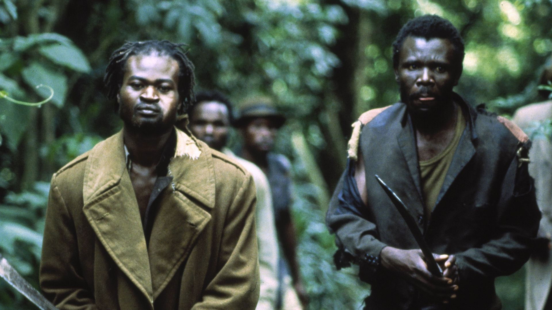 The Kitchen Toto Background