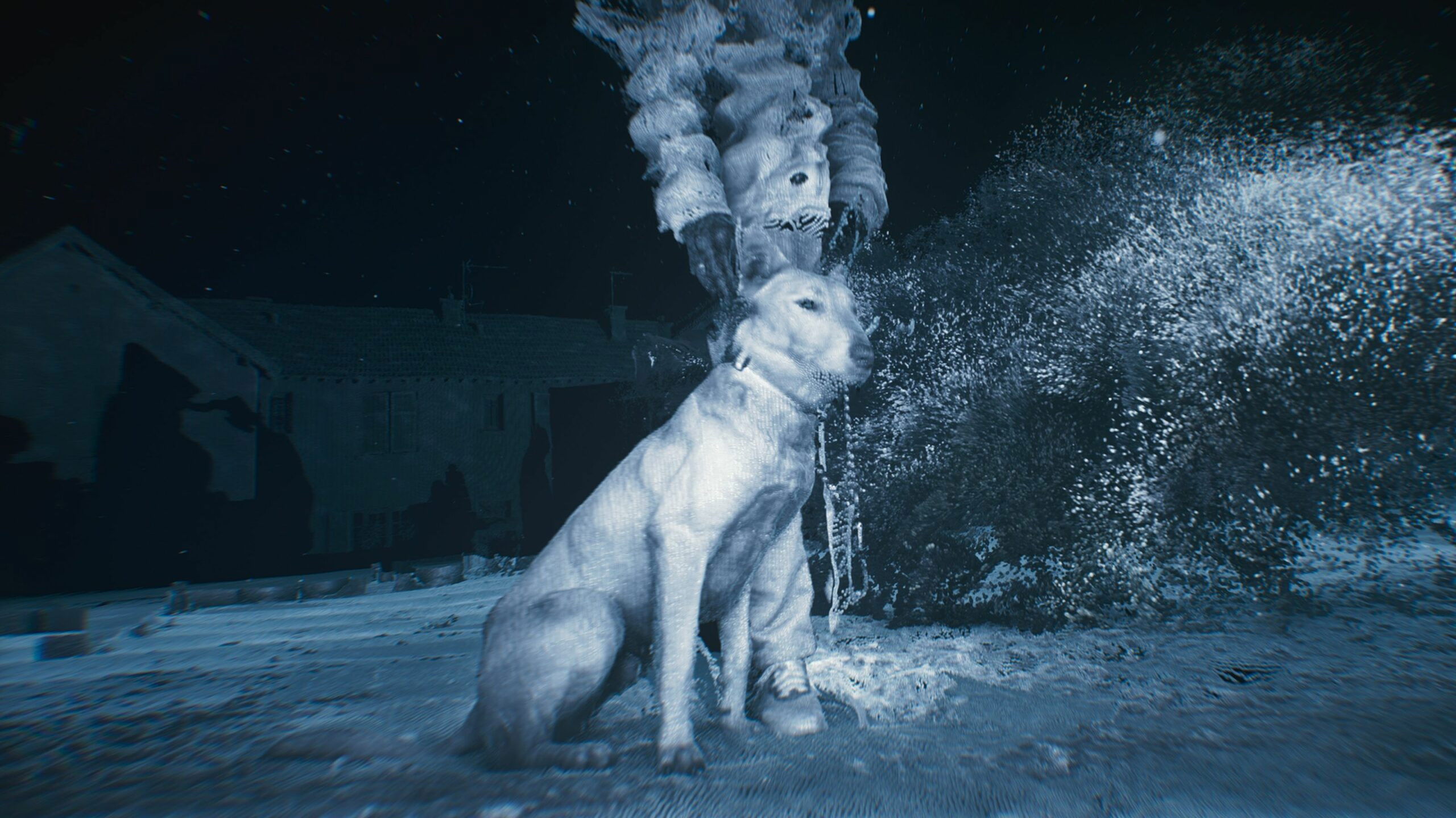 Genealogy of Violence Background