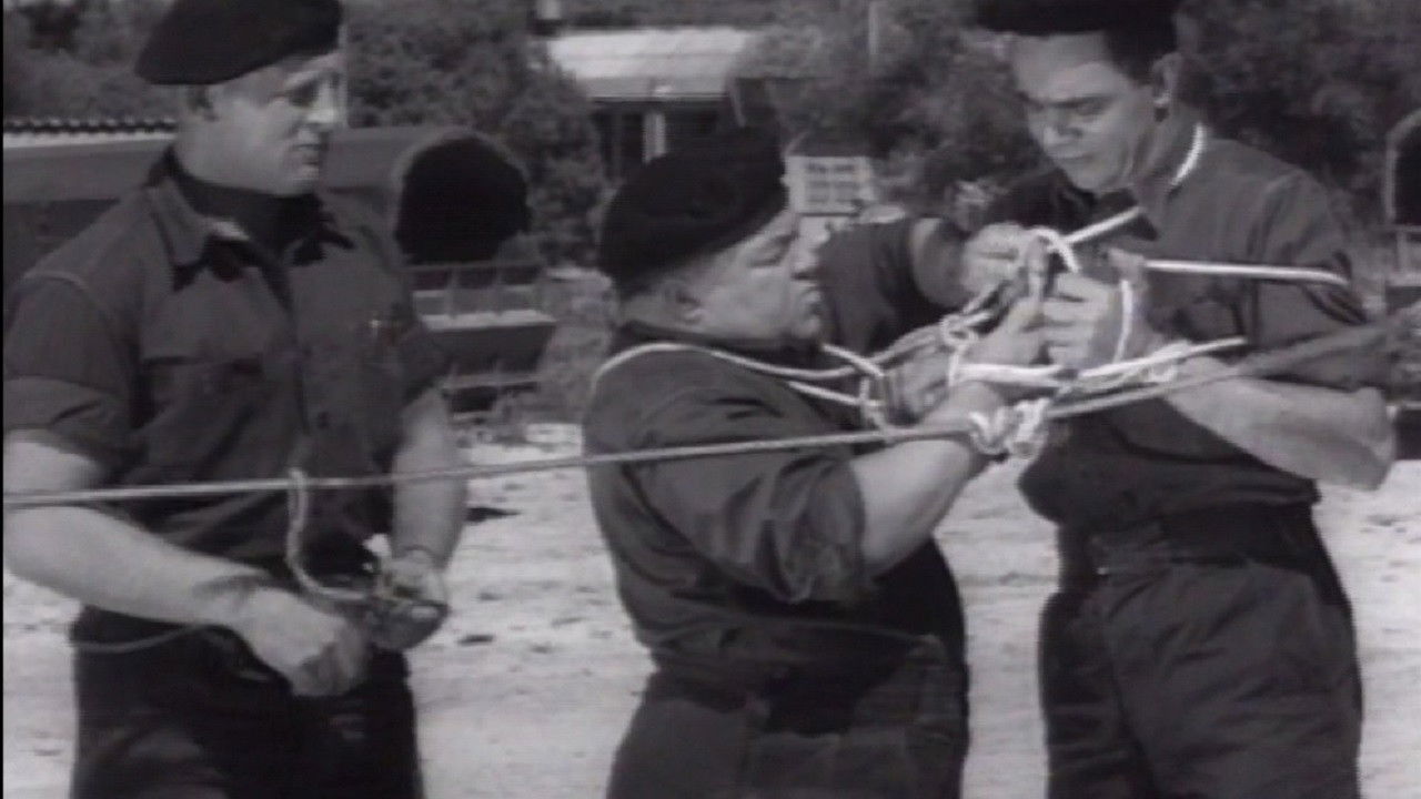 Fratse in die Vloot Background