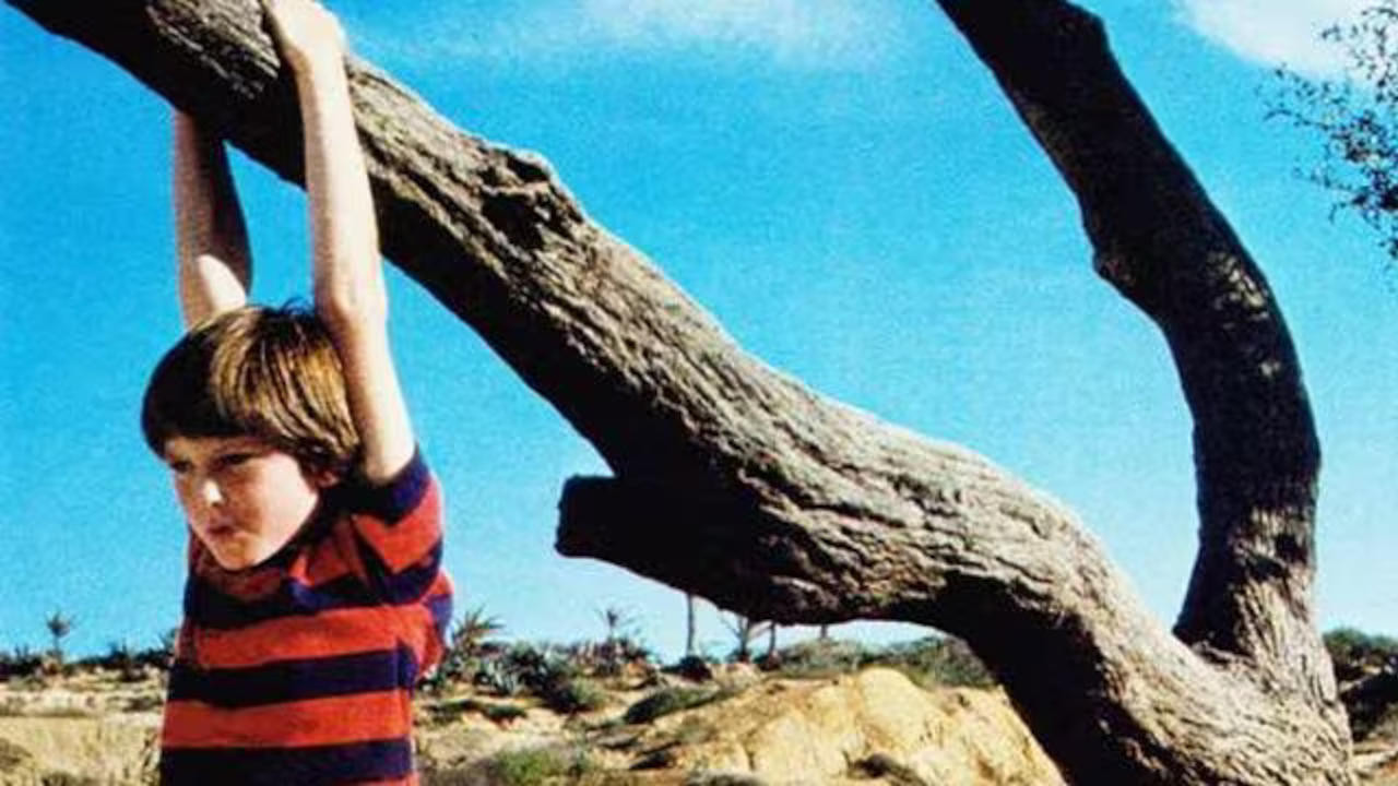 Misunderstood Background