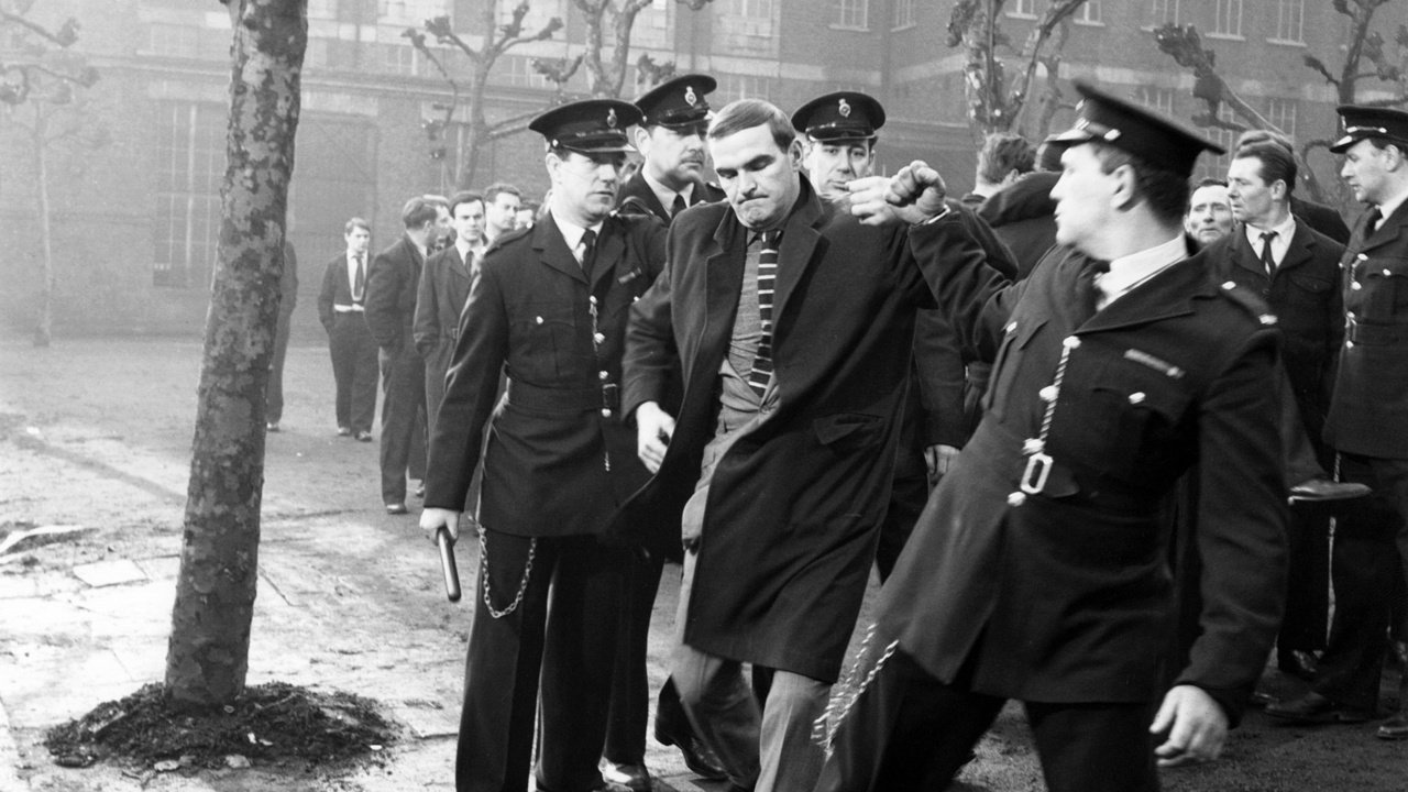 The Criminal Background