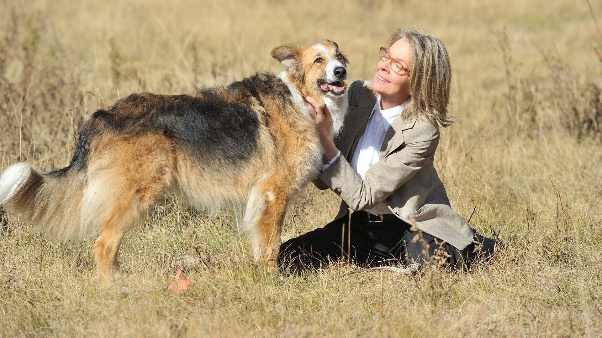 Darling Companion Background