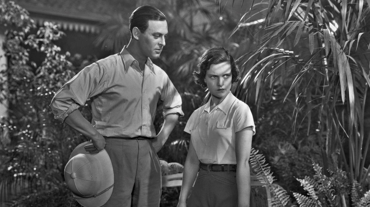 Sugar Lady Background