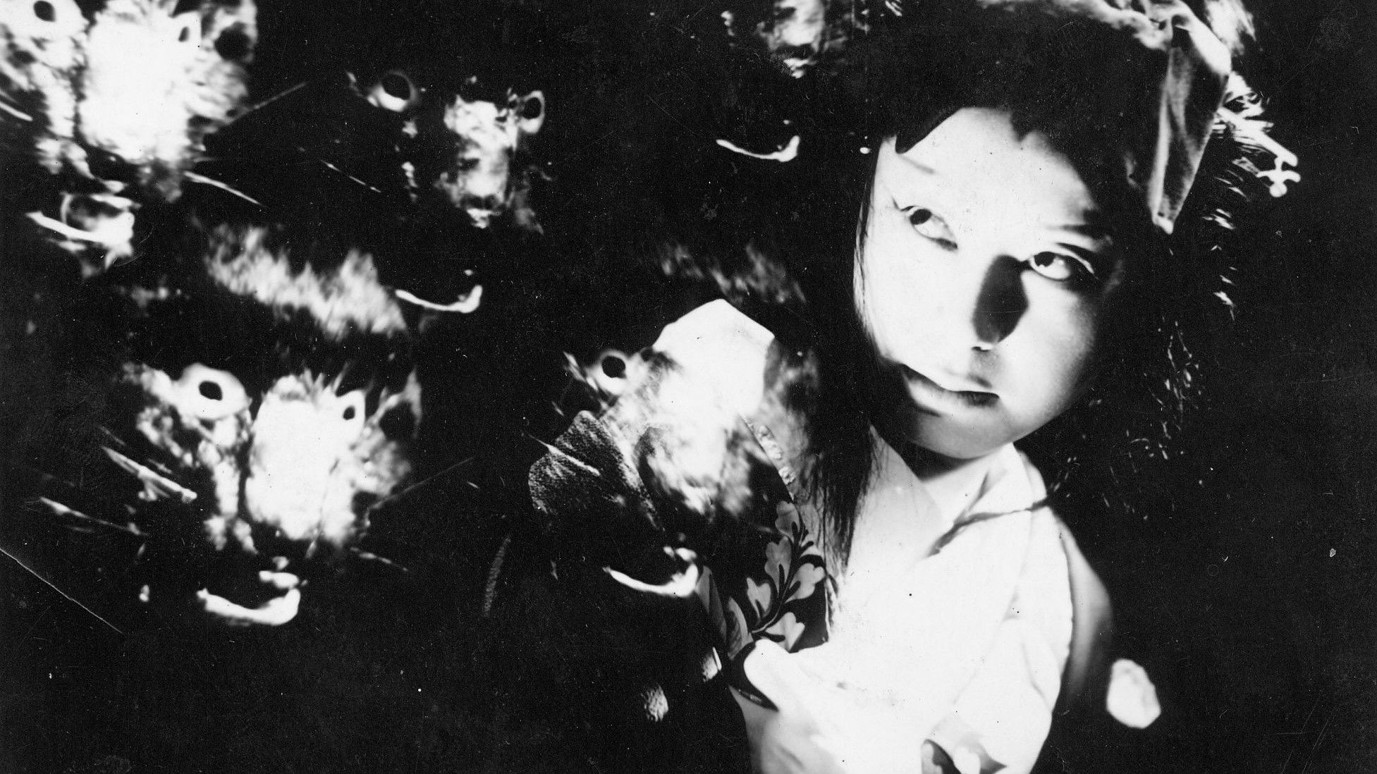 The Ghost Cat of Ouma Crossing Background