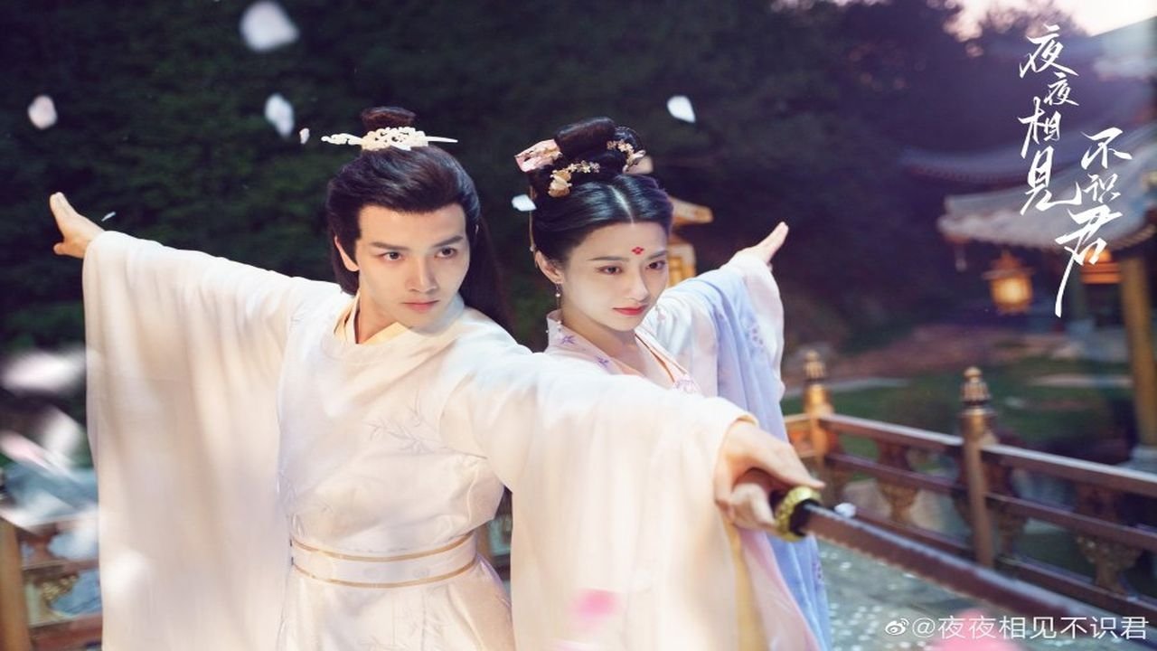 My Decoy Bride Background