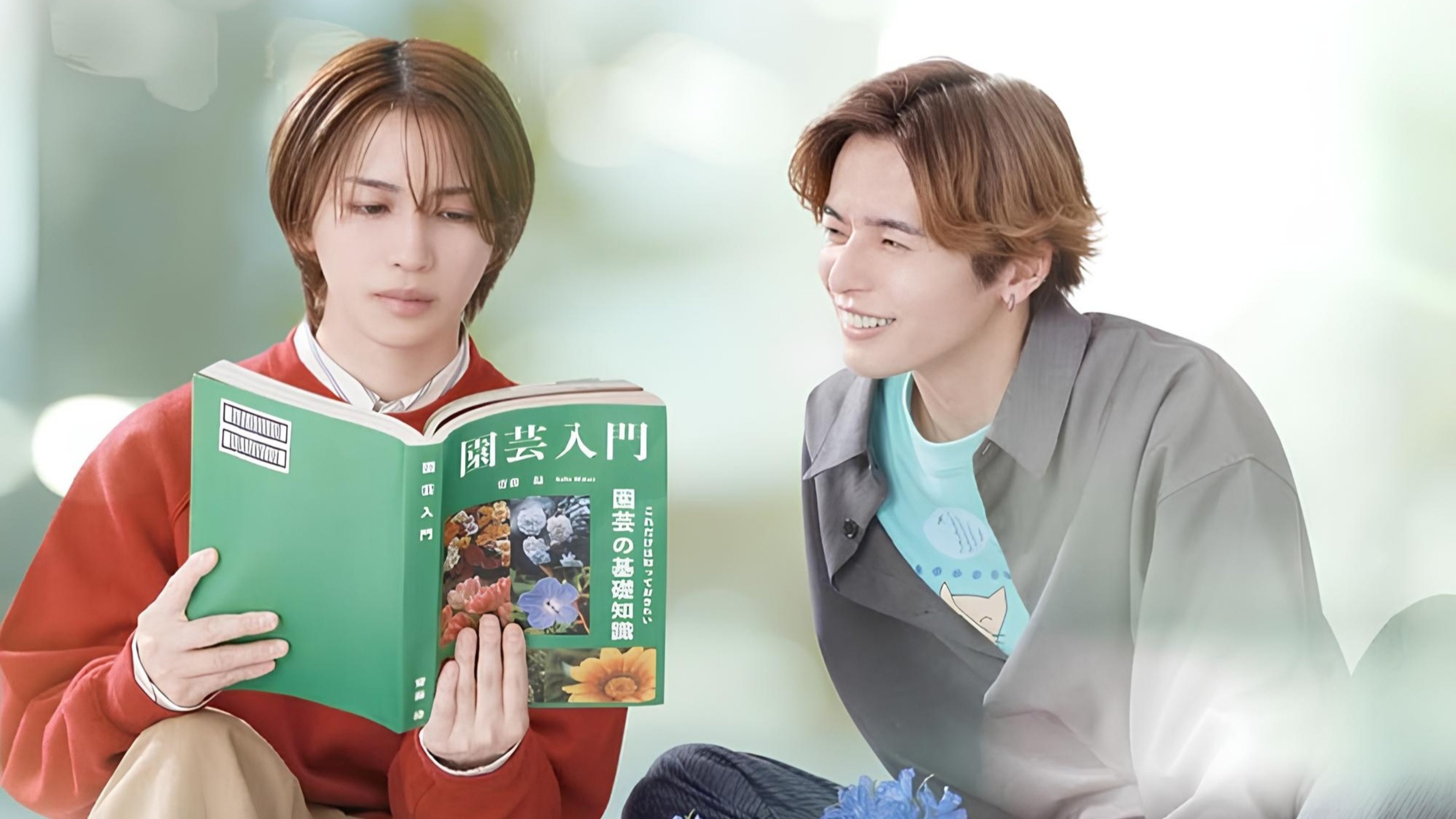 The Proper Way to Write Love Background