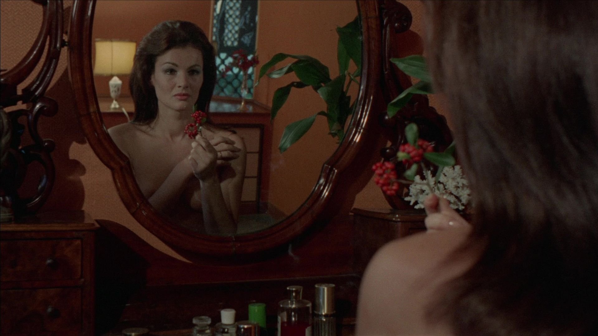 The Cat in Heat Background