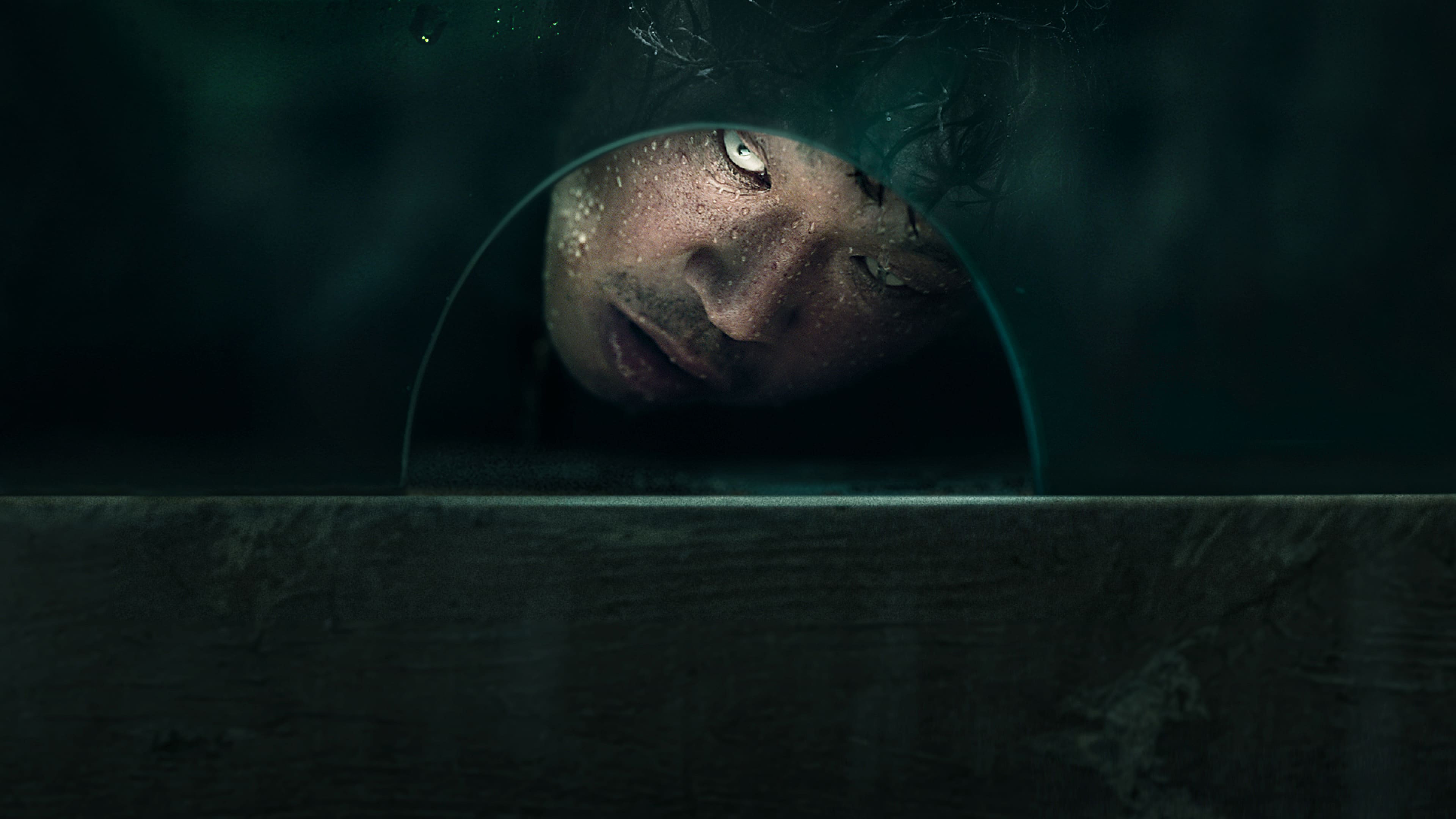 The 8th Night Background