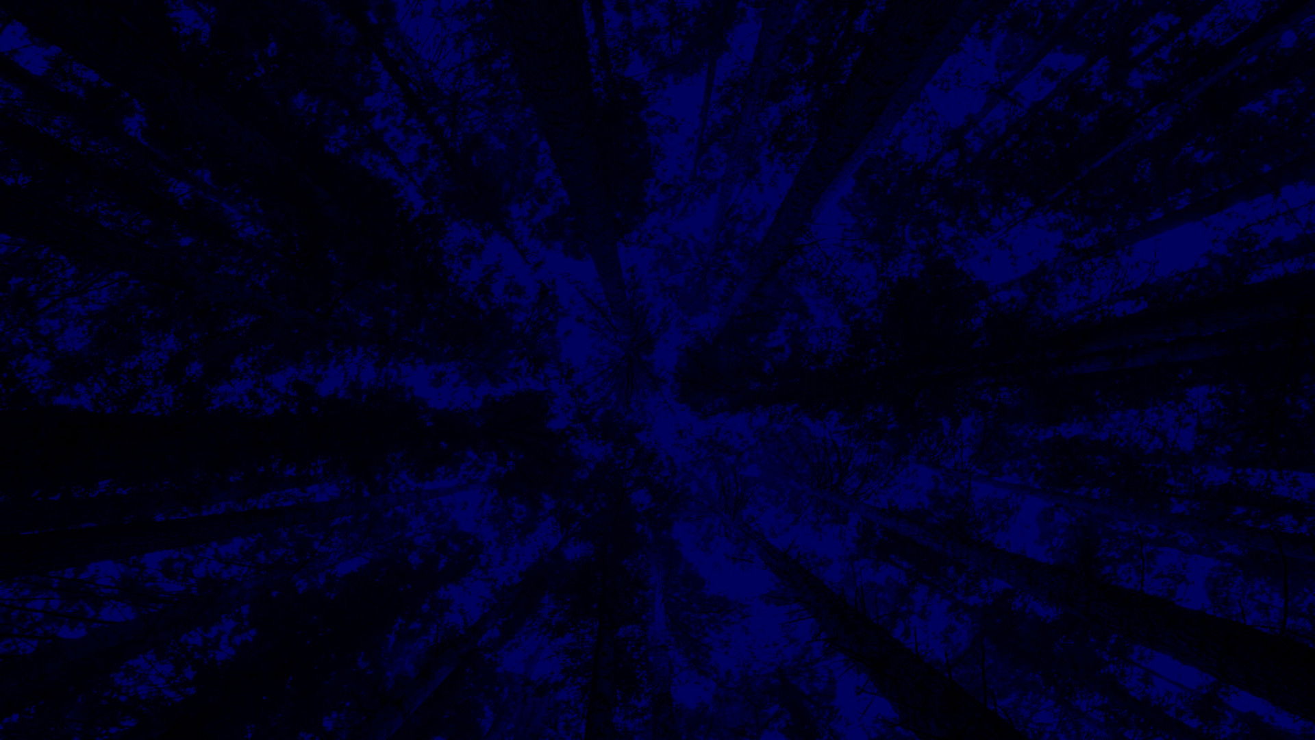 New York City Opera: A Little Night Music Background