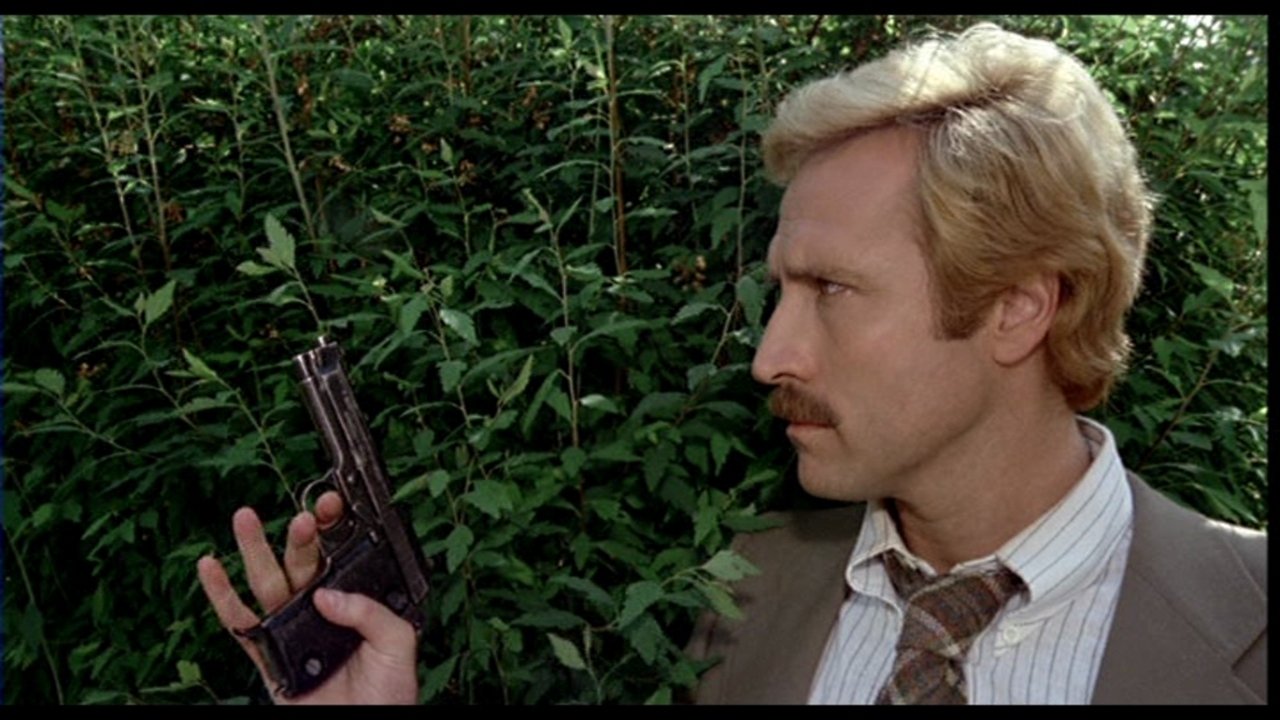 Fear in the City Background