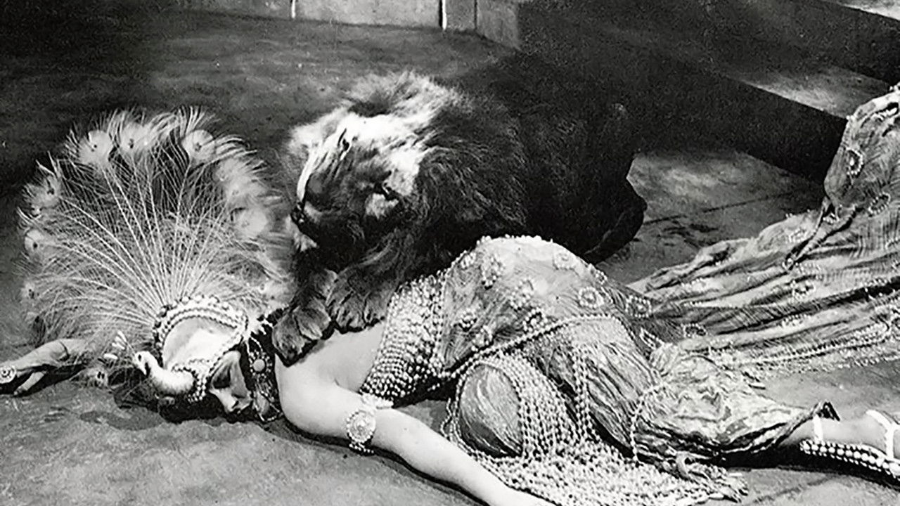 Male and Female Background