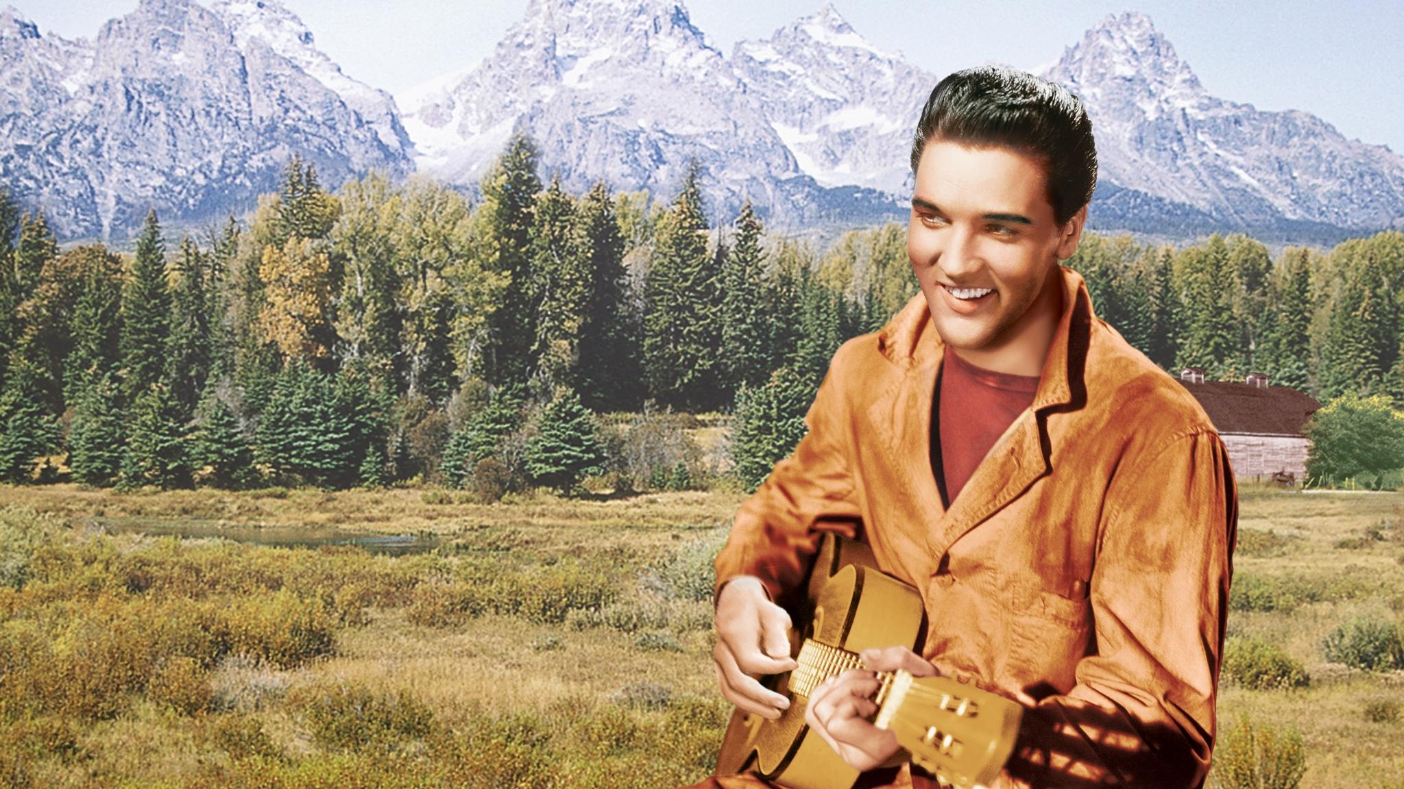 Wild in the Country Background