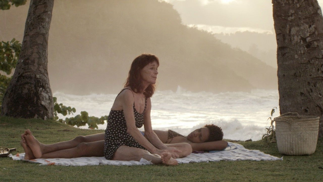 Dólares de arena Background