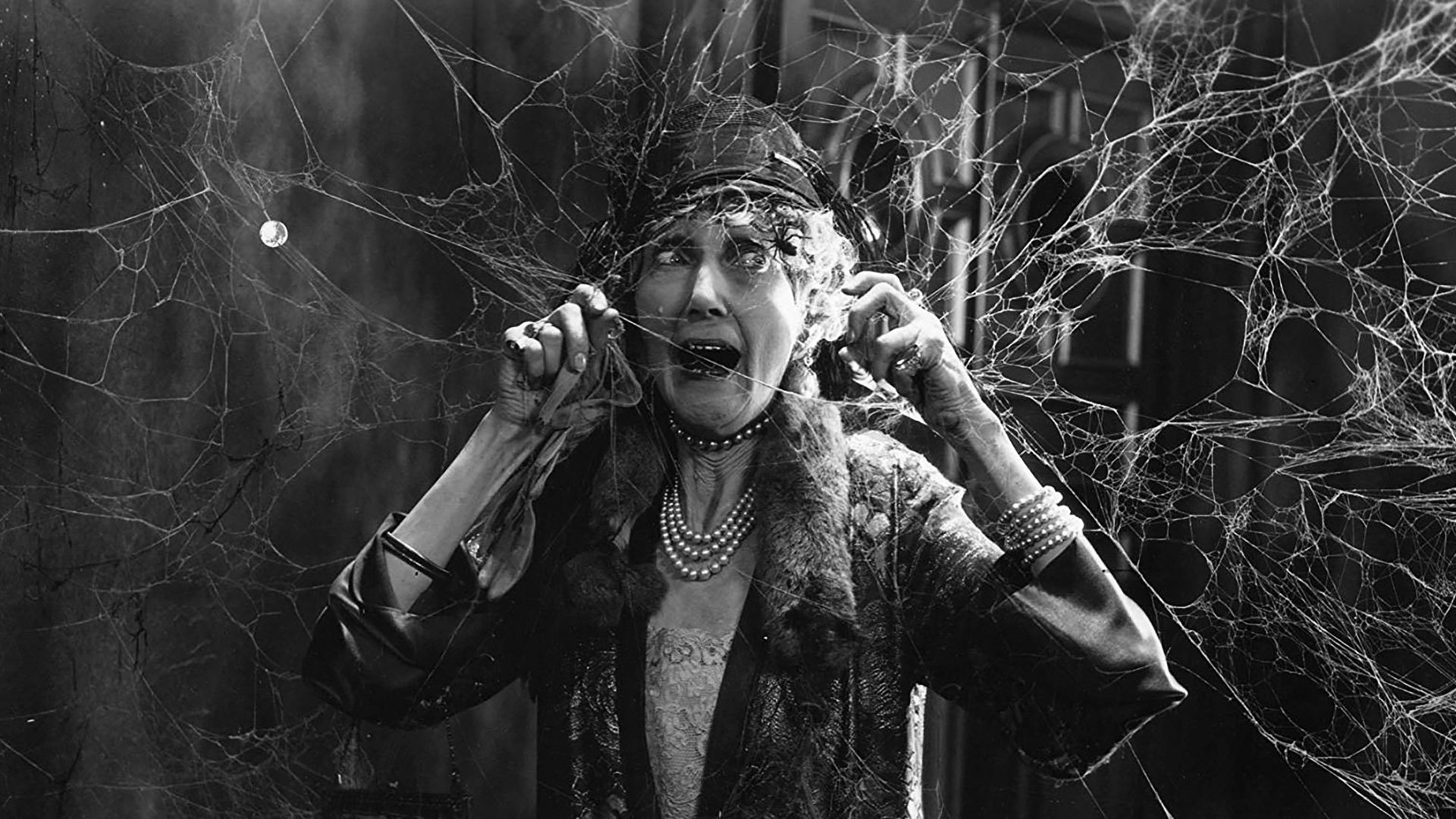 The Last Warning Background