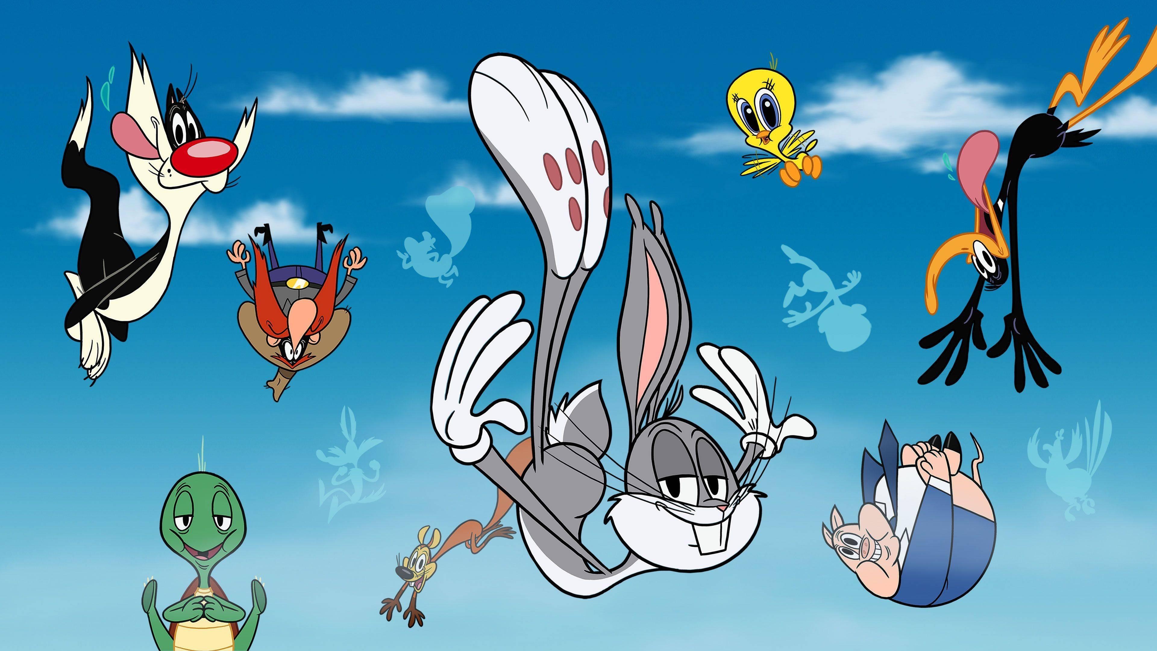 New Looney Tunes Background